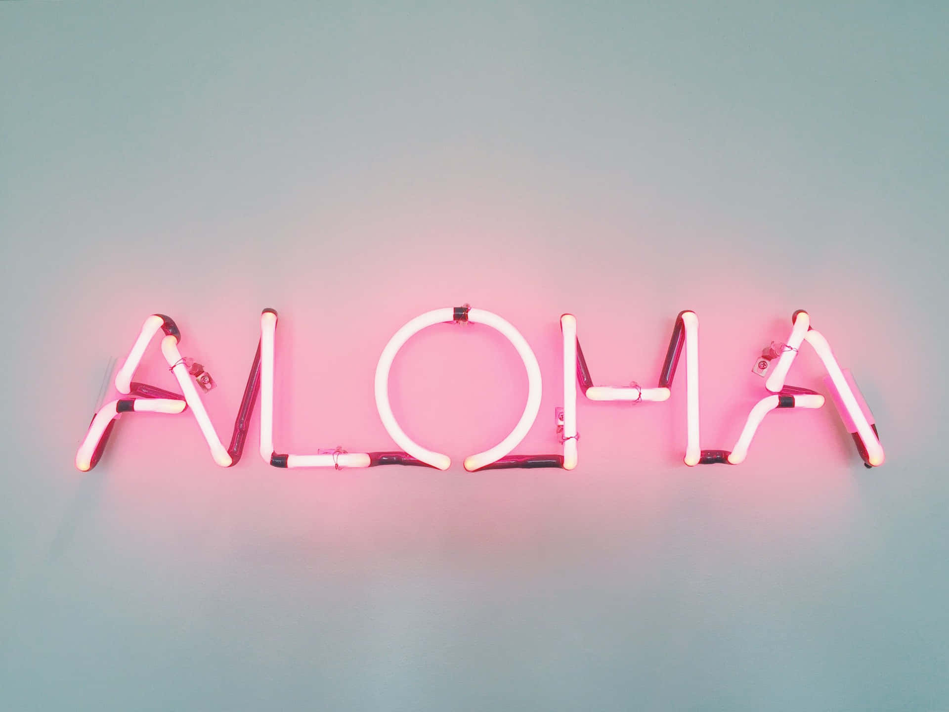 藍色牆上寫有 aloha 的粉紅色霓虹燈牌