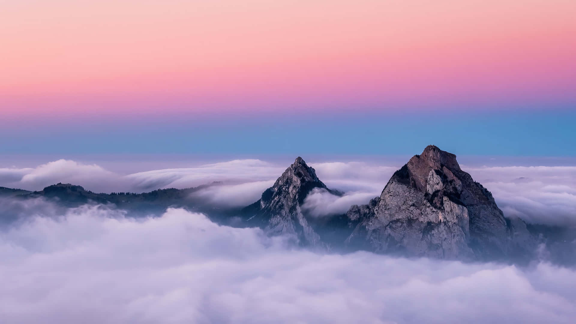 黎明時分，兩座山峰在粉紅與藍色的天空下聳立於雲海之上。