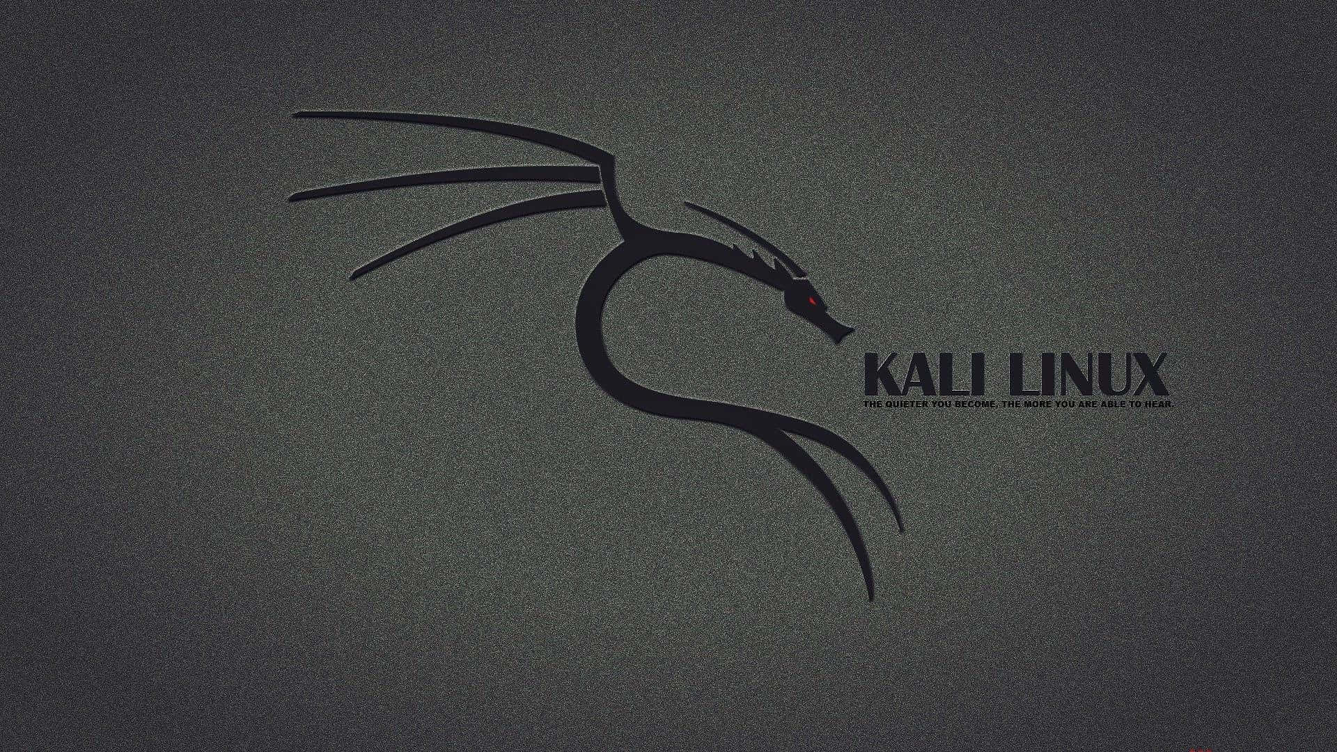 令人驚嘆的 Kali Linux 圖形介面照片 壁紙 — 一個光滑的黑色 Kali Linux 龍標誌，帶有發光的紅色眼睛，位於紋理深灰色背景上。