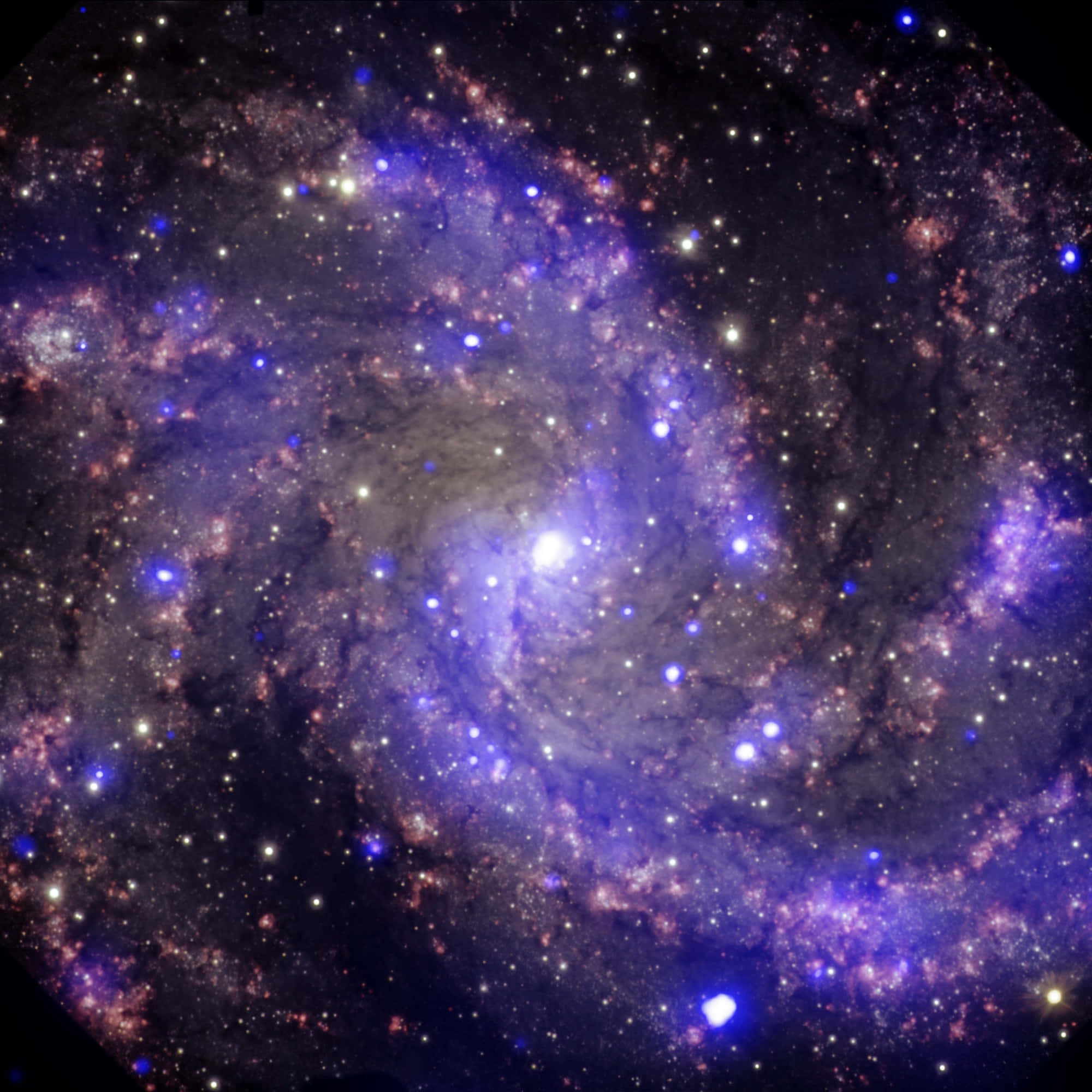 令人驚嘆的NASA星系圖片 壁紙 — 一個令人嘆為觀止的螺旋星系，在繁星點點的宇宙背景下旋轉著充滿活力的紫色和粉紅色星雲。