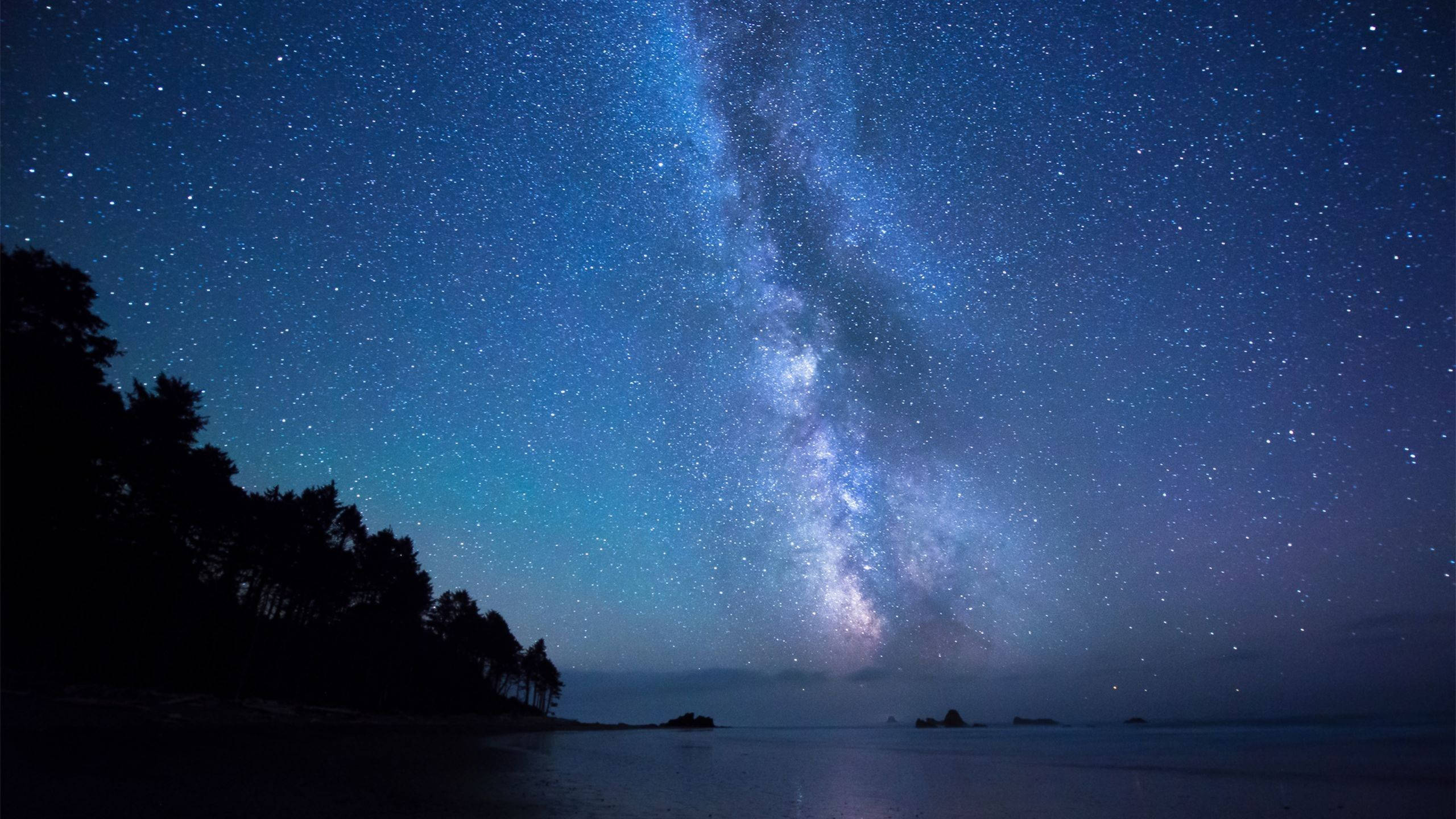 星星 桌布 壁紙 — 令人驚嘆的夜空，充滿無數星星和發光的銀河，拱形在平靜的海洋和黑暗的森林剪影之上。