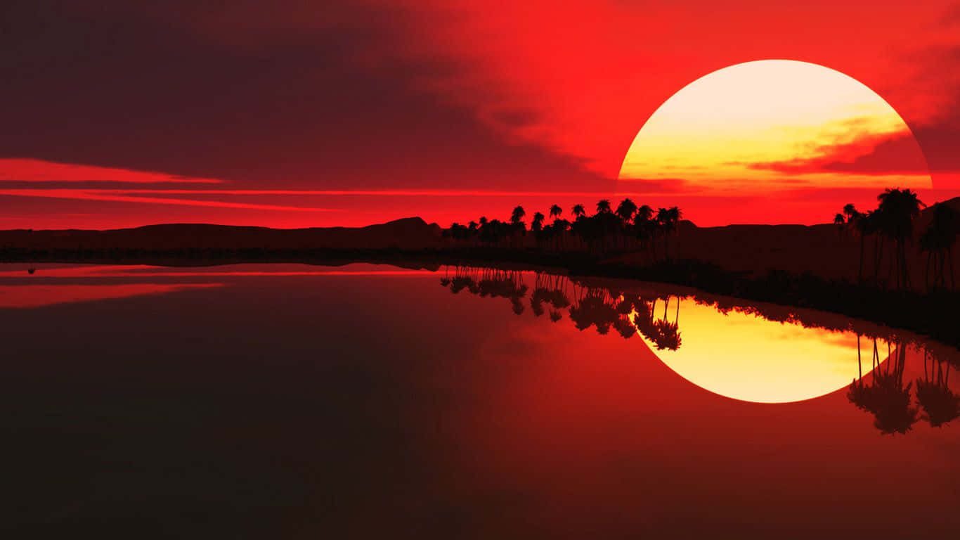 令人驚嘆的日出 壁紙 — 火紅的夕陽在平靜的水面上投下閃爍的倒影，海岸邊棕櫚樹的剪影清晰可見。