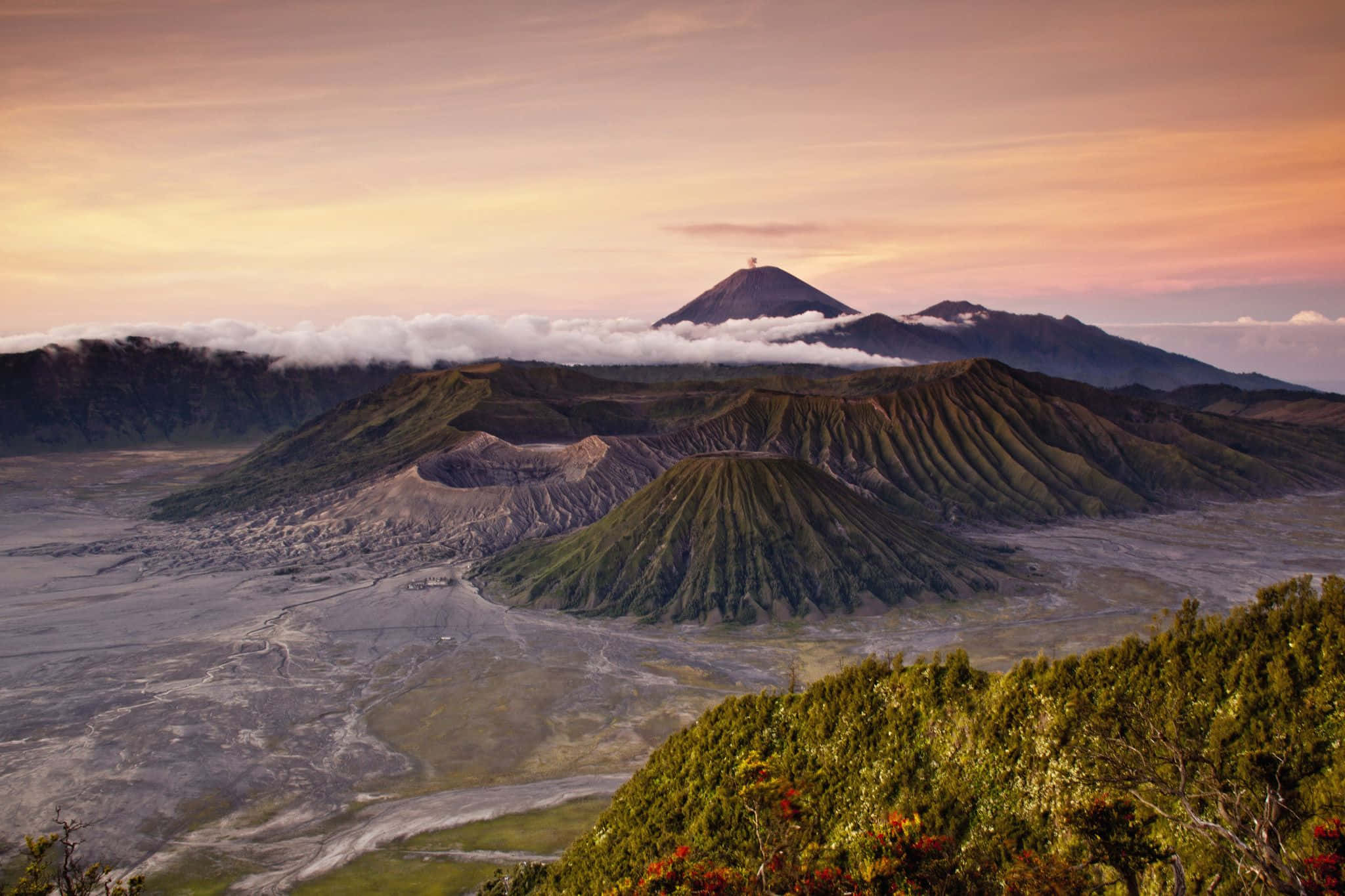 Indonesia 桌布 壁紙 — 令人驚嘆的日出，映照著布羅莫火山的火山口，薄霧雲層依附在山坡上，前景是充滿活力的綠色植物。
