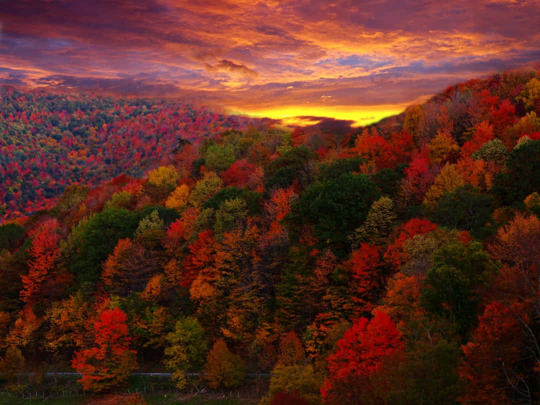 Fall Country 桌布 壁紙 — 令人驚嘆的秋日落日將起伏的山丘染成火紅、橙色和金色，雲朵在茂密的森林上方發光。