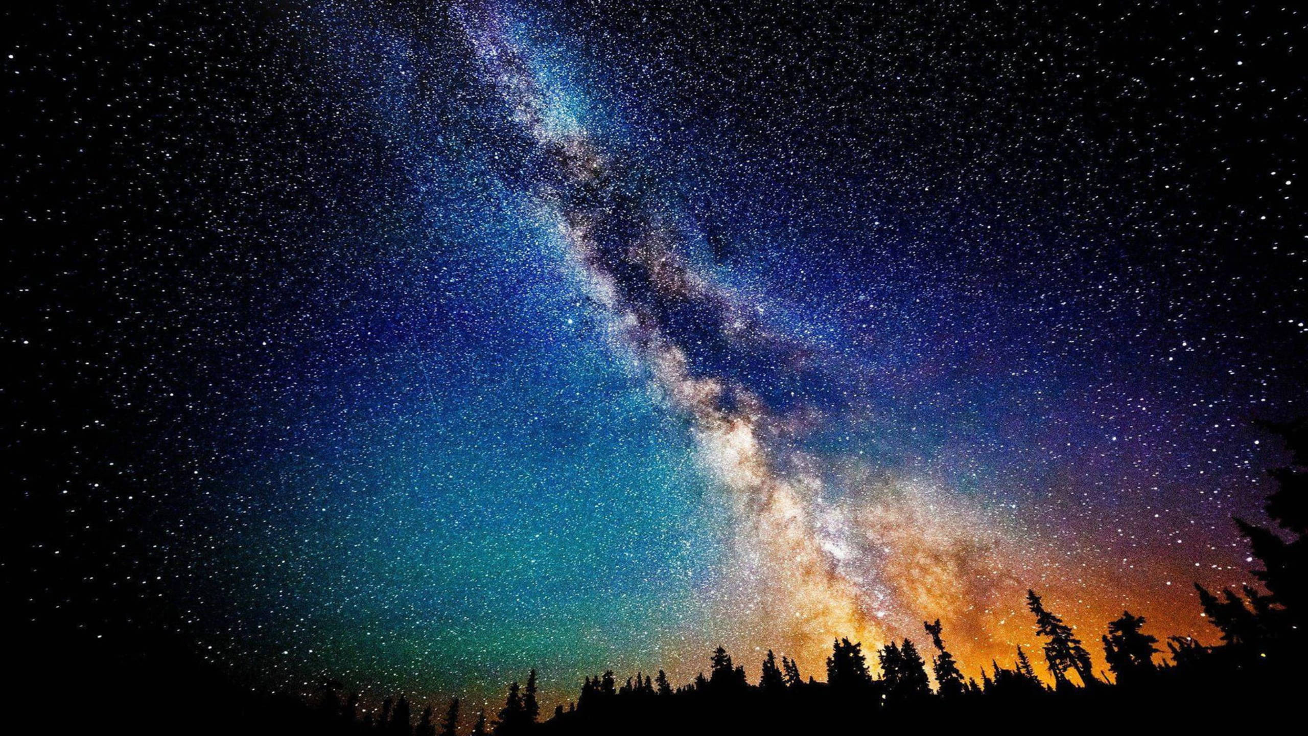 外太空 桌布 壁紙 — 令人驚嘆的銀河系在松樹剪影上方繁星點點的夜空中拱起。