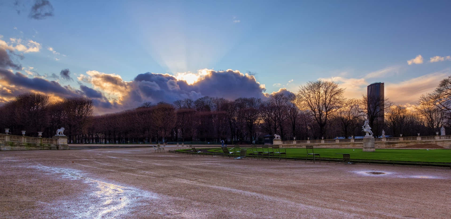 公園上的夕陽，雕像和裸樹投下長長的影子。
