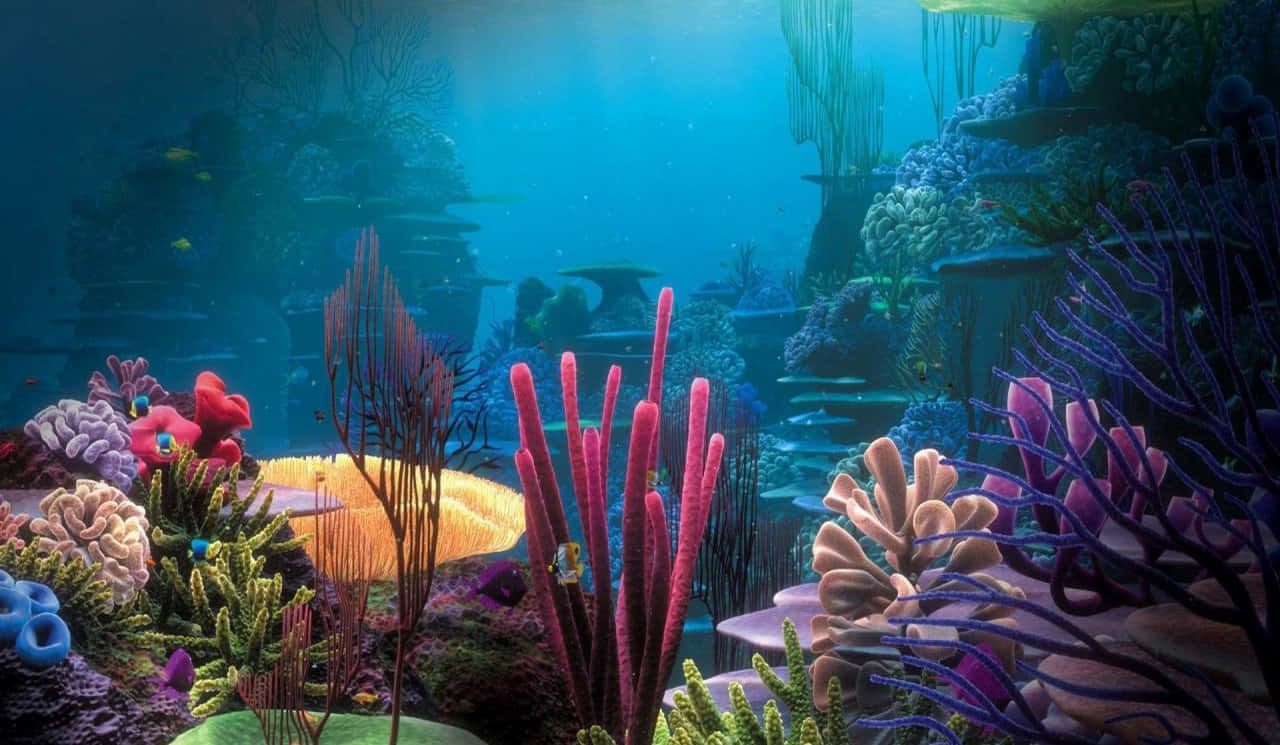 色彩繽紛的珊瑚礁，魚兒在藍色海水中游動。