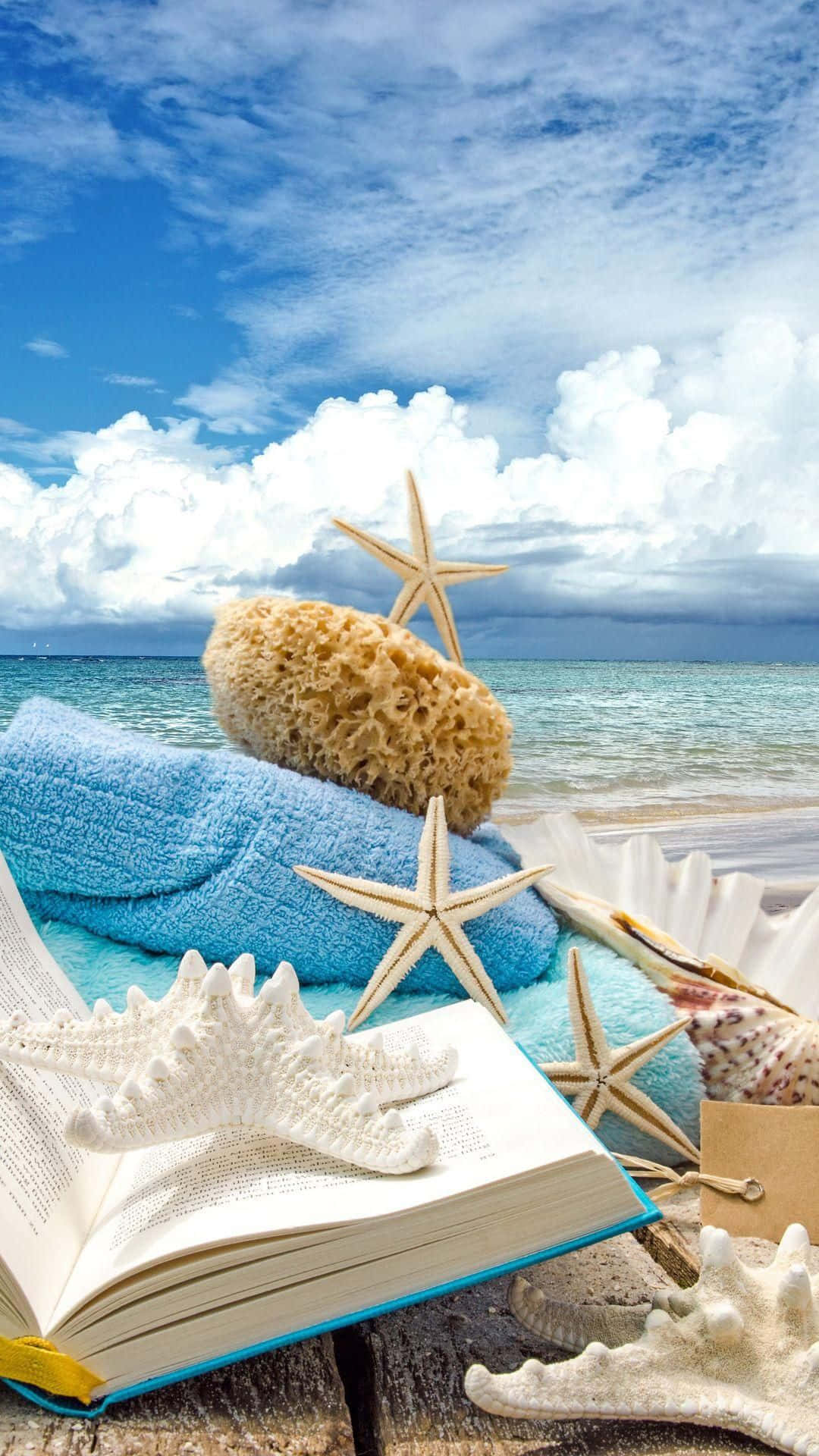 以 Android 設備體驗精彩夏日 壁紙 — 一個寧靜的海灘場景，有一本打開的書，周圍環繞著海星、海綿和貝殼，在明亮的藍天下。