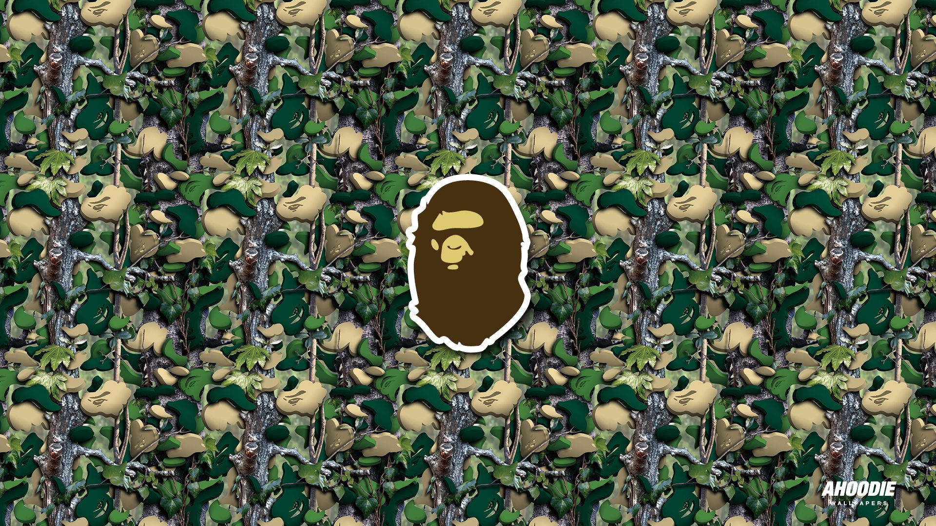 迷彩牆紙，中央有 A BATHING APE 標誌。