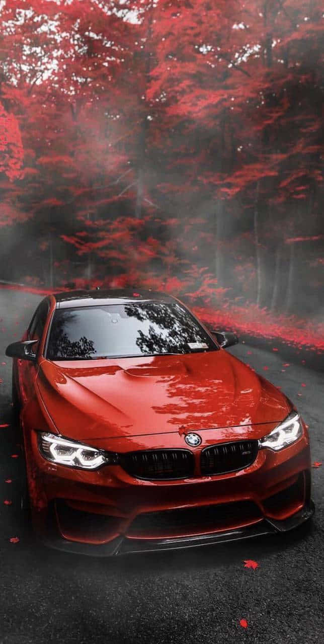紅色BMW跑車行駛在深紅色秋樹與薄霧環繞的林間道路上。