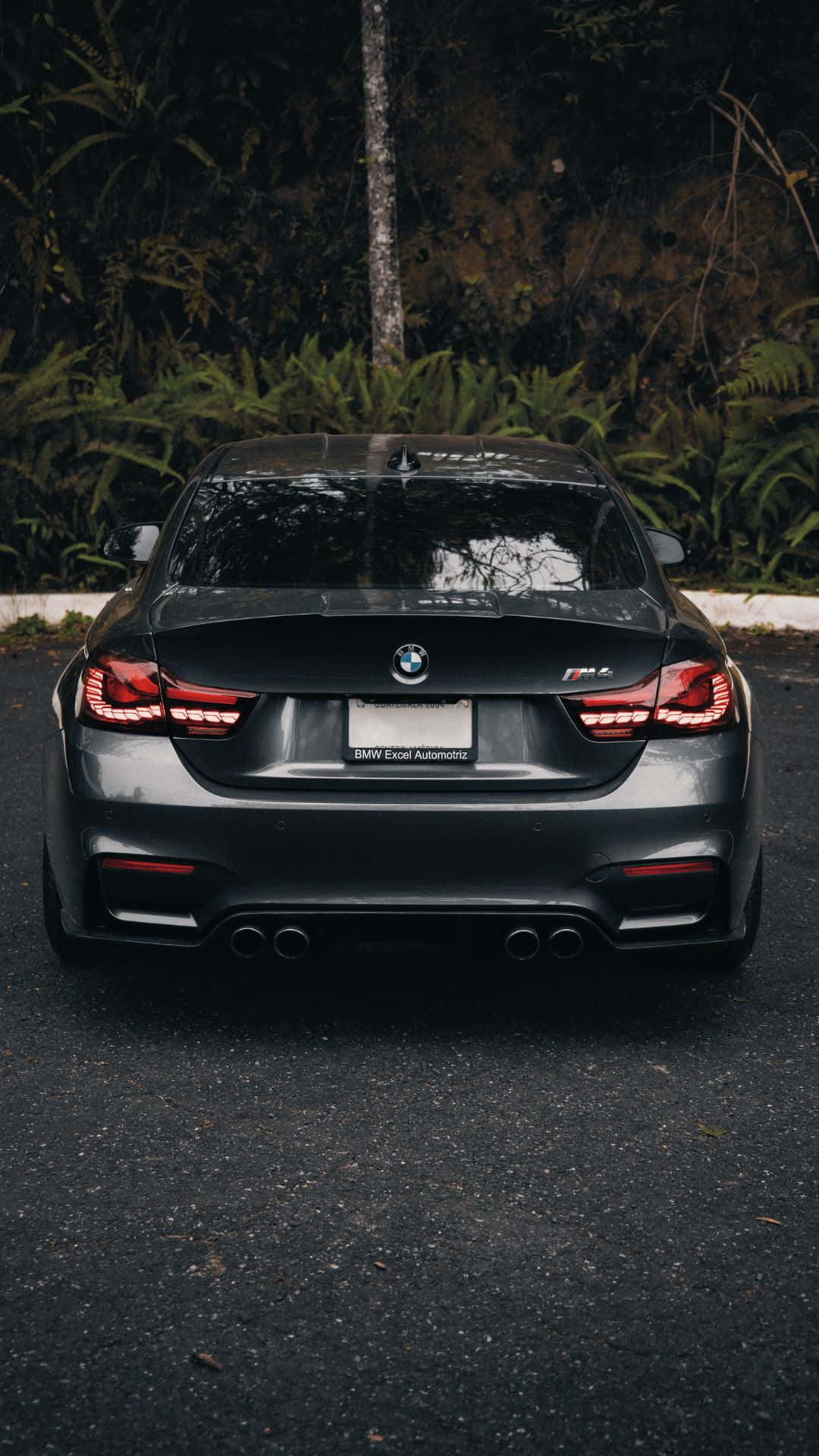 以 BMW 開啟 Android 體驗 – 雙重優勢的完美結合 壁紙 — 一架型格黑色BMW M4停在瀝青路上，紅色尾燈在黑暗森林背景下閃爍發光。
