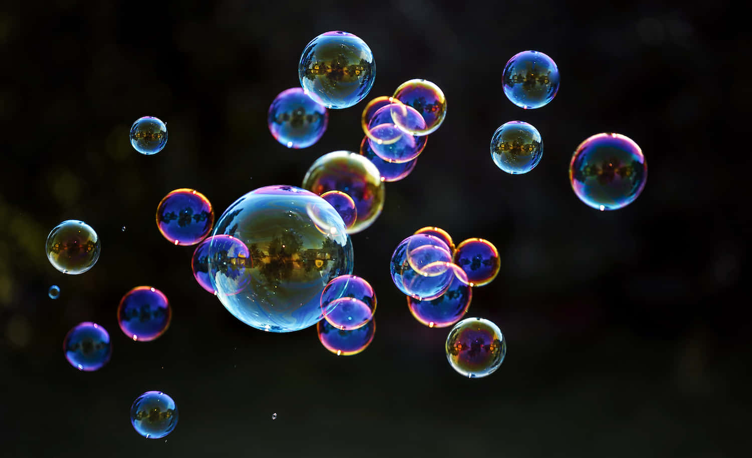 以 Bubble.io 創造現代解決方案 壁紙 — 彩虹色的肥皂泡在黑暗模糊的背景上優雅地漂浮，反射著金色的光芒。