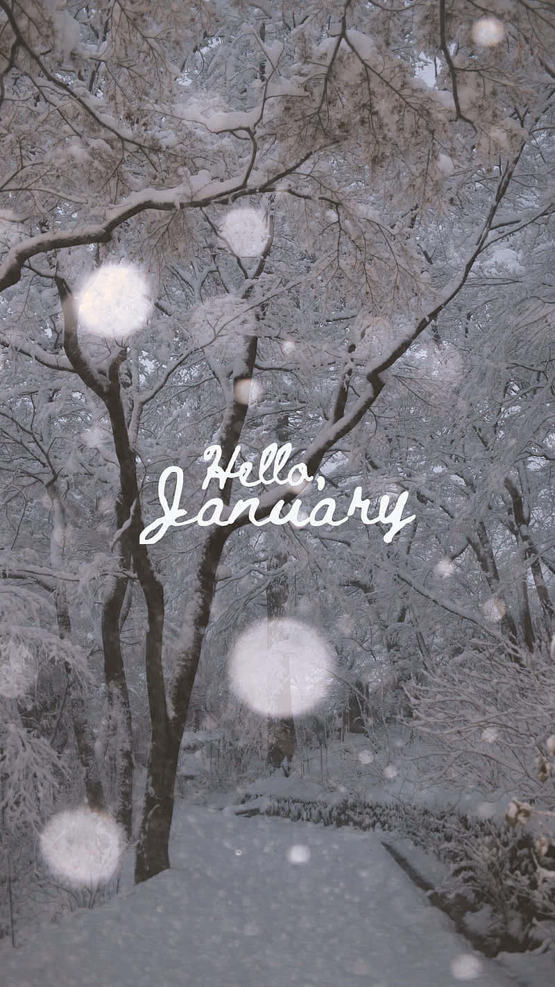 白雪覆蓋的森林小徑，光禿的樹木，漂浮的散景球體，以及寫著 Hello January 的文字。