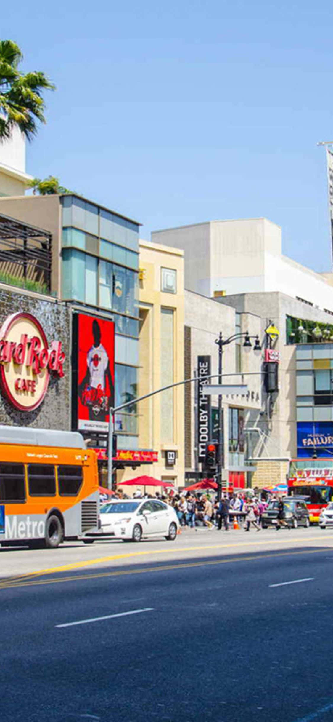 以 iPhone XS California 感受大自然之美 壁紙 — 繁華的荷里活街道，設有Hard Rock Cafe和杜比劇院，在明亮的藍天下，棕櫚樹和交通。