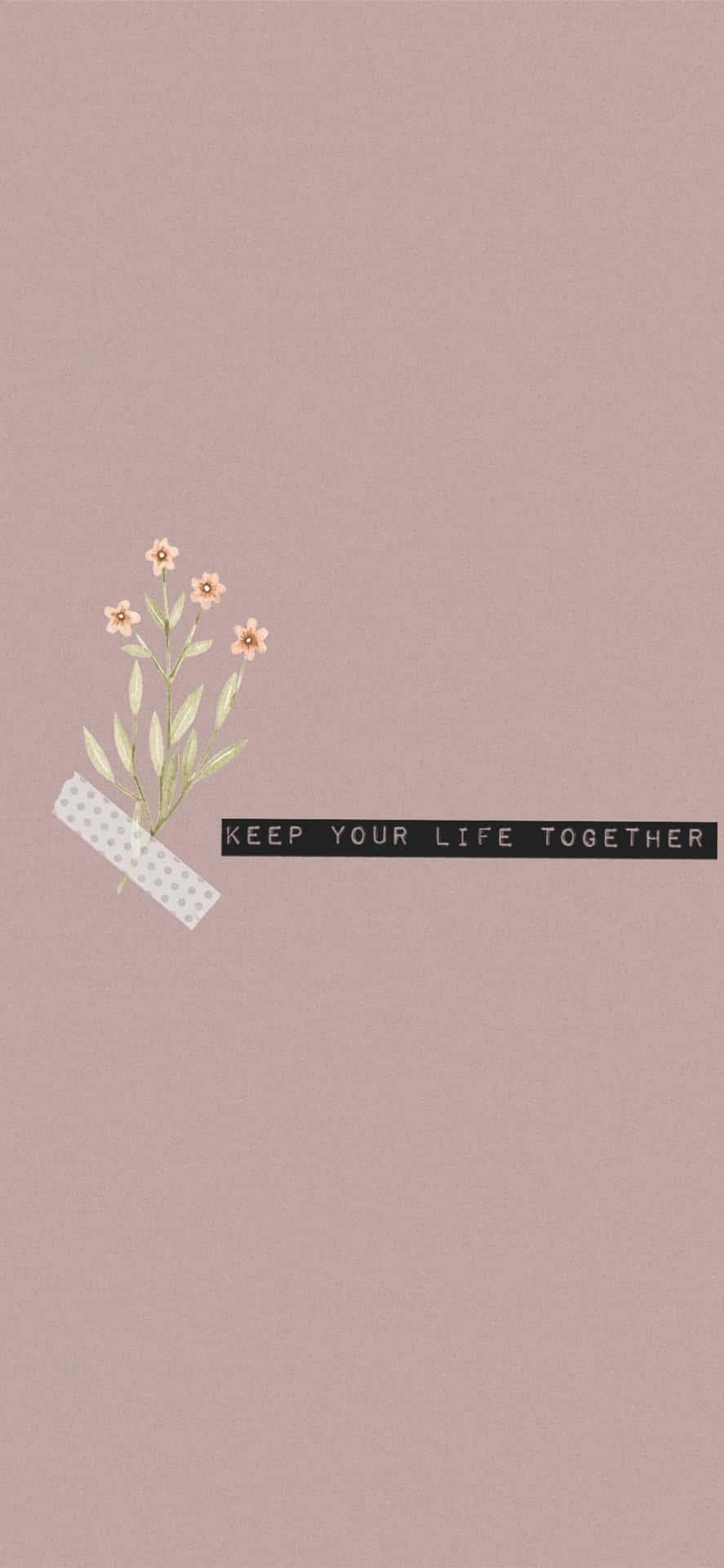 一根纏著繃帶的花莖，在紫灰色背景上寫著「keep your life together」。