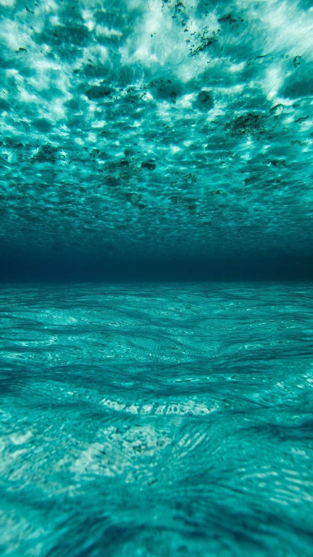 水下場景，碧綠色的海水和漣漪起伏的水面光影圖案。