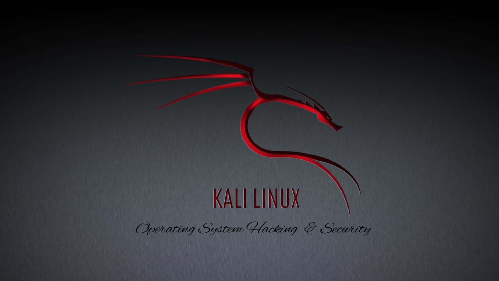 以 Kali Linux 安全您的網路 壁紙 — 一個時尚的紅色龍標誌，用於 Kali Linux，在帶有微妙照明的深色紋理灰色背景上發光。