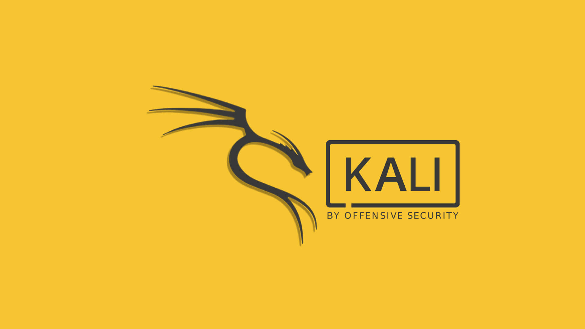 以 Kali Linux 安全您的網路 壁紙 — 在鮮黃色背景上，一個時尚的黑色龍標誌旁邊有粗體字KALI。