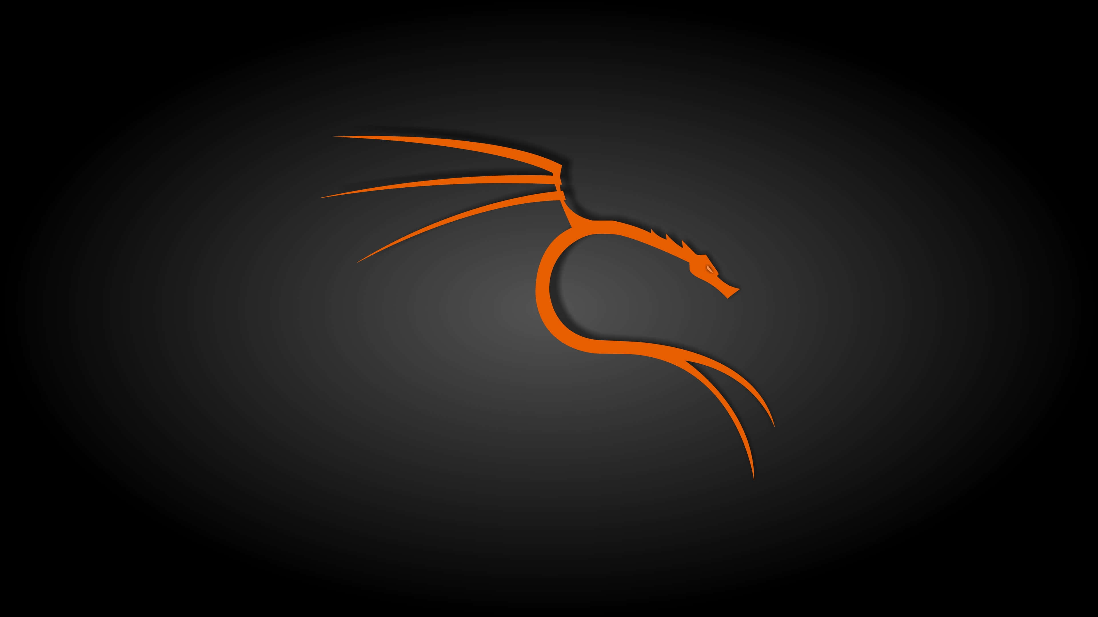 以 Kali Linux 強化您的安全知識 壁紙 — 一個時尚的橙色龍標誌在深色漸變背景上發光，帶有柔和的徑向照明。