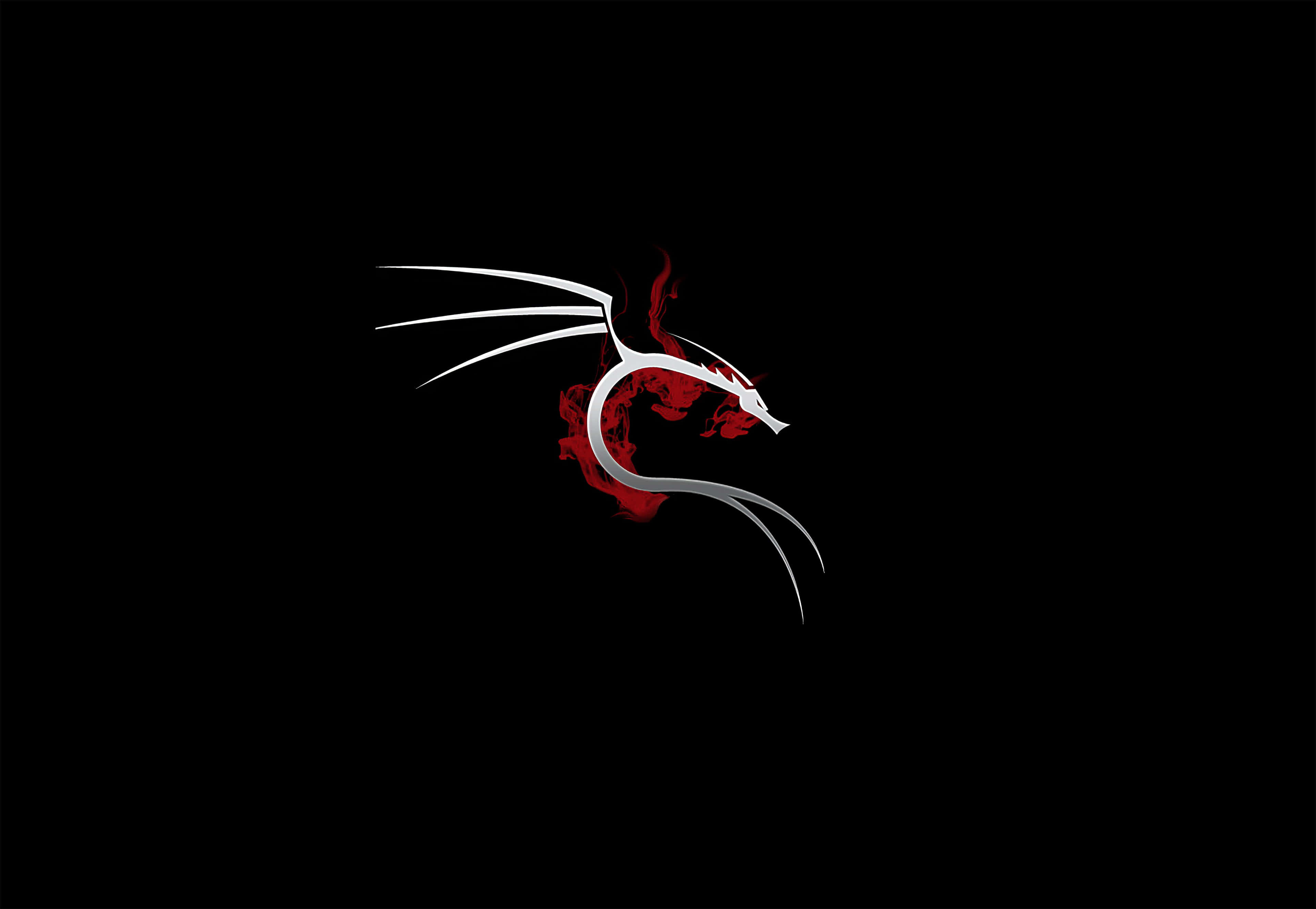 以 Kali Linux 探索道德駭客的力量 壁紙 — 一條光滑的銀龍，帶有紅色煙霧漩渦，在純黑色背景上。