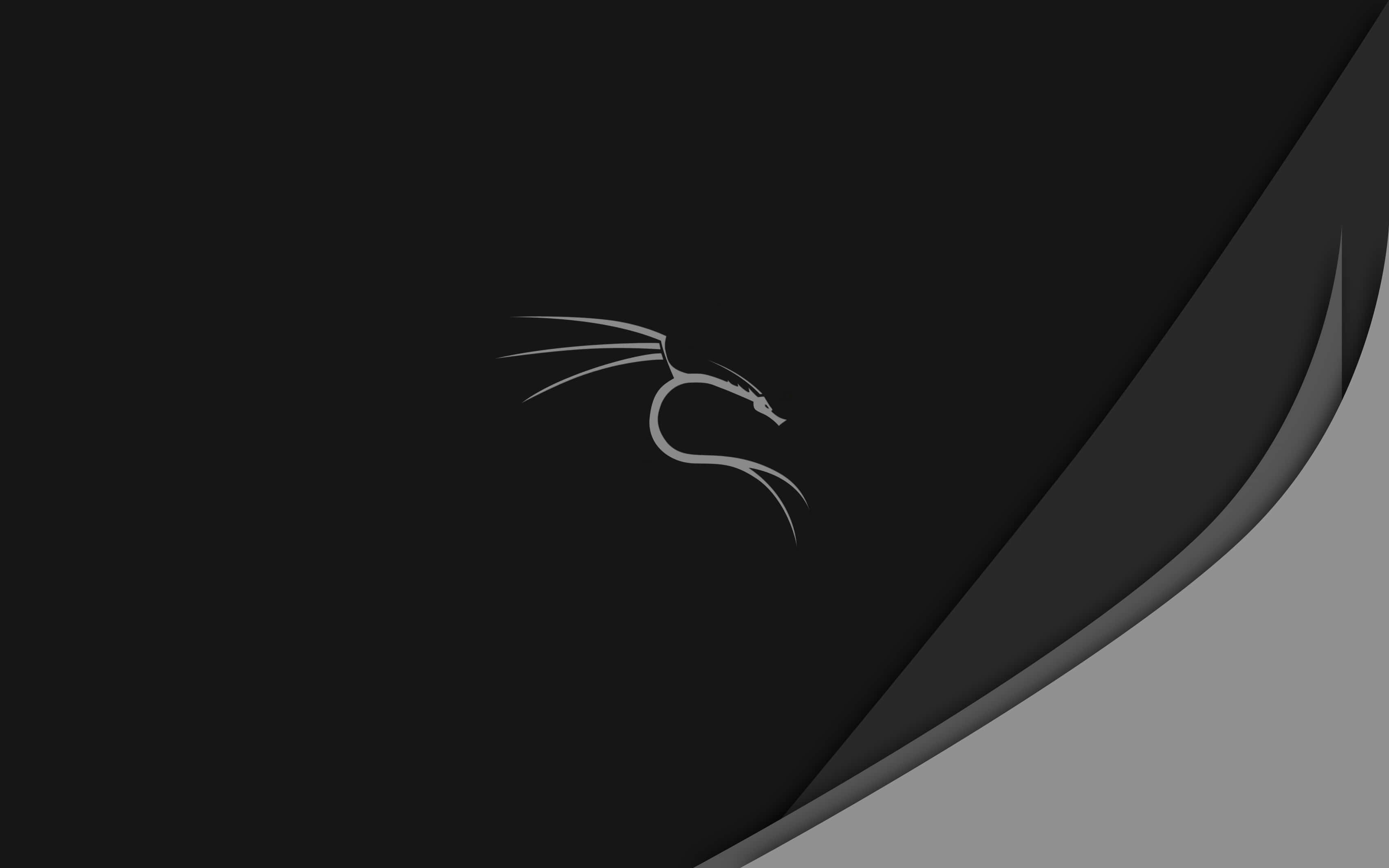 以 Kali Linux 為專業資安人員提供保障 壁紙 — 一個極簡風格的銀色龍標誌，居中放在黑色背景上，角落有灰色對角漸變。