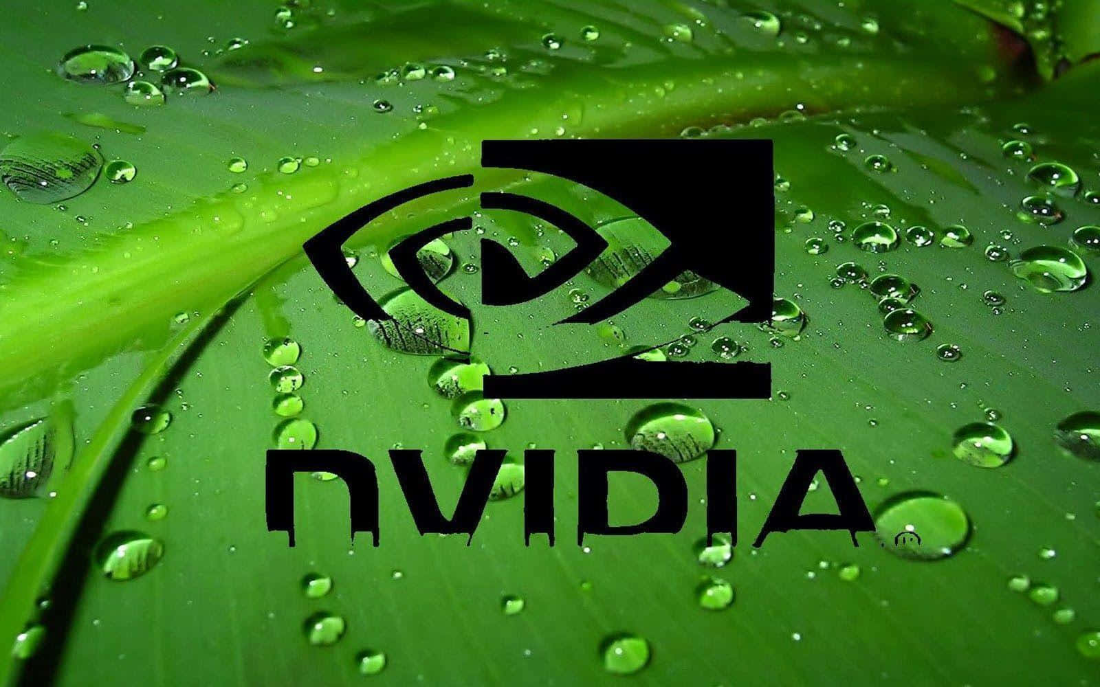 Nvidia 標誌在帶有水珠的濕綠葉上