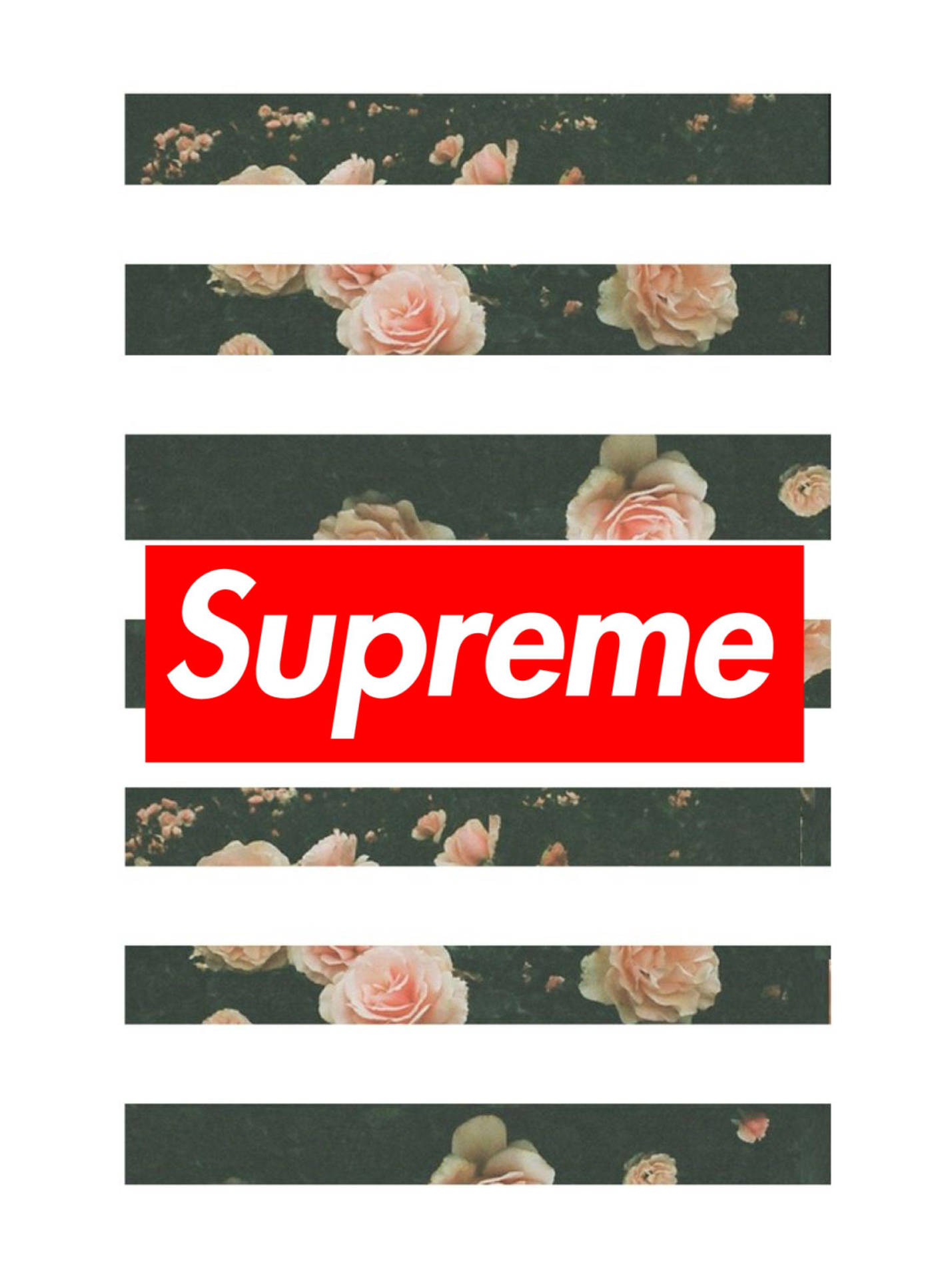 Supreme標誌在花卉條紋背景上。