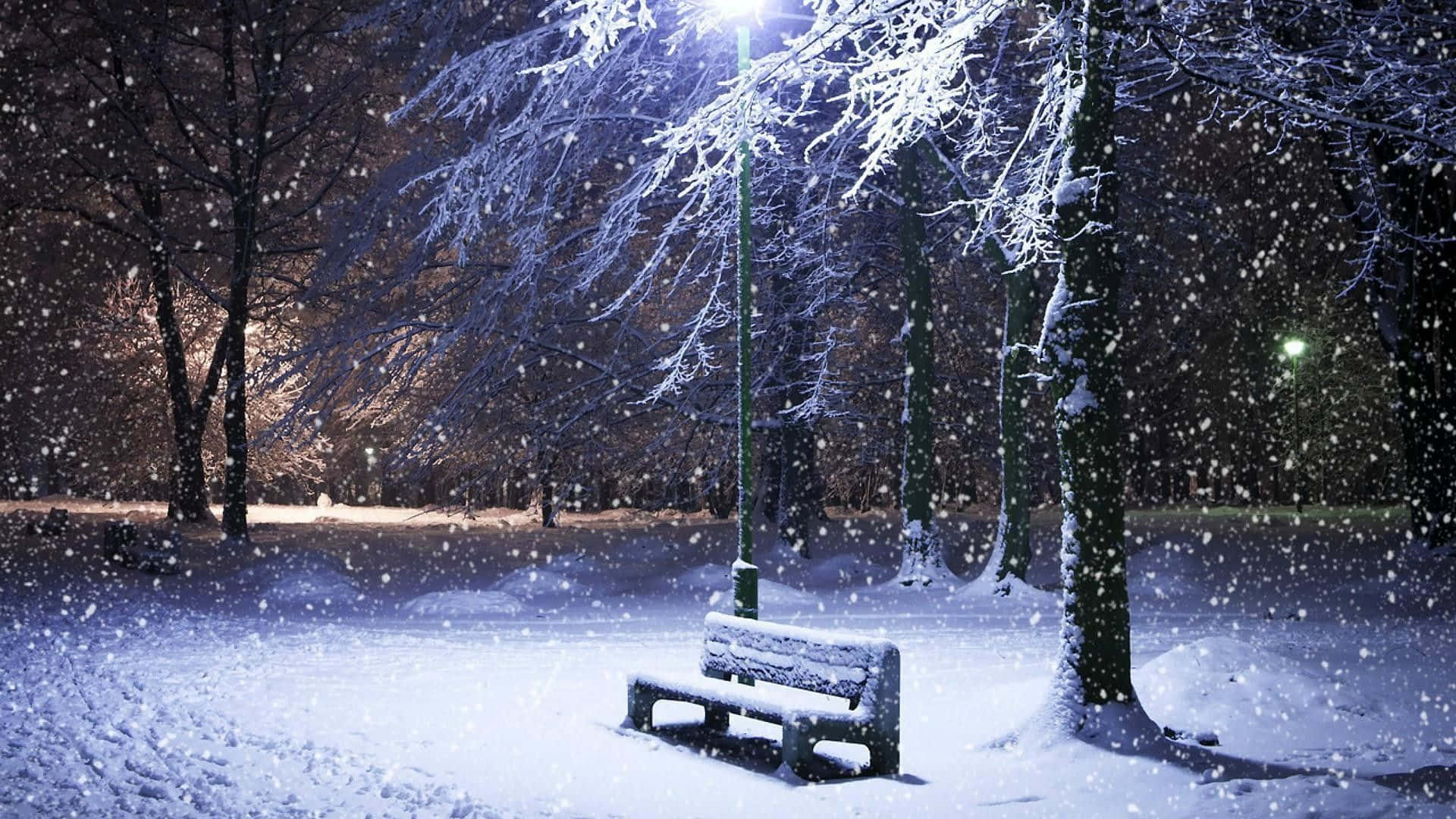 以1080p享受冬季季節 壁紙 — 一張孤獨的雪覆蓋長椅在街燈下發光，雪花輕輕穿過結霜的樹枝，在寧靜的冬季公園夜間飄落。