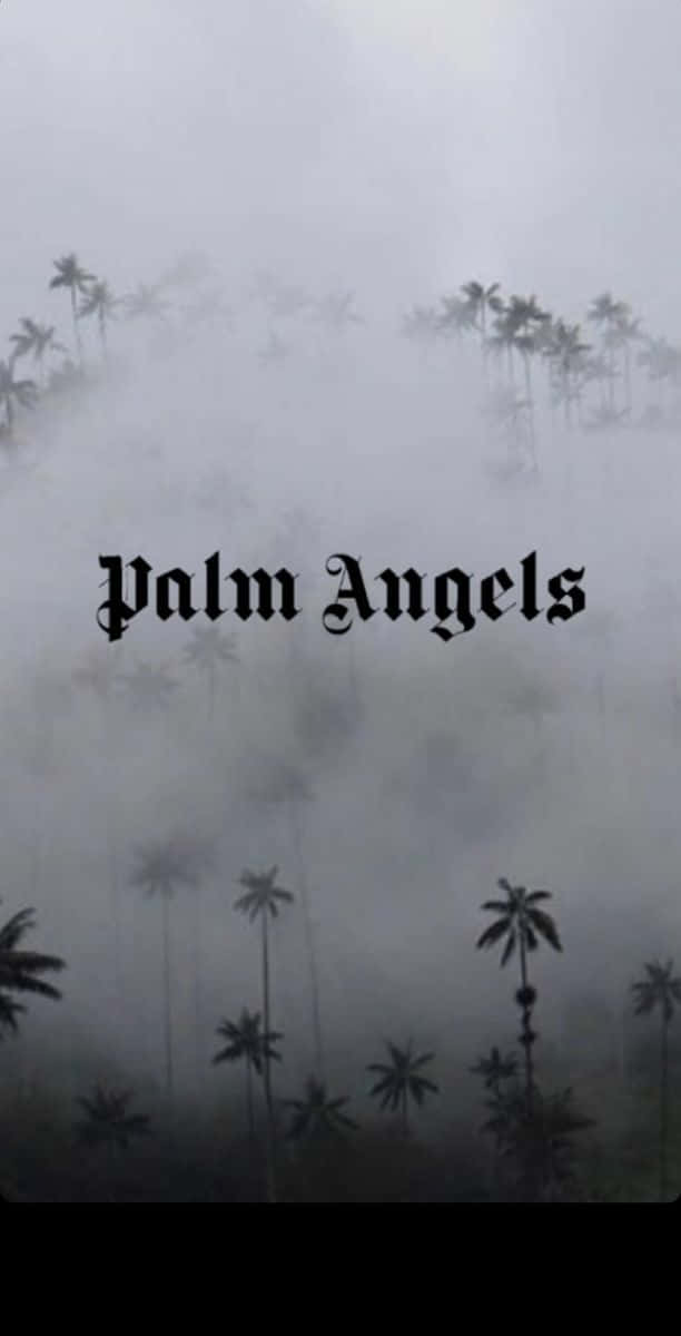 霧中的棕櫚樹和哥德式字體的「Palm Angels」文字。