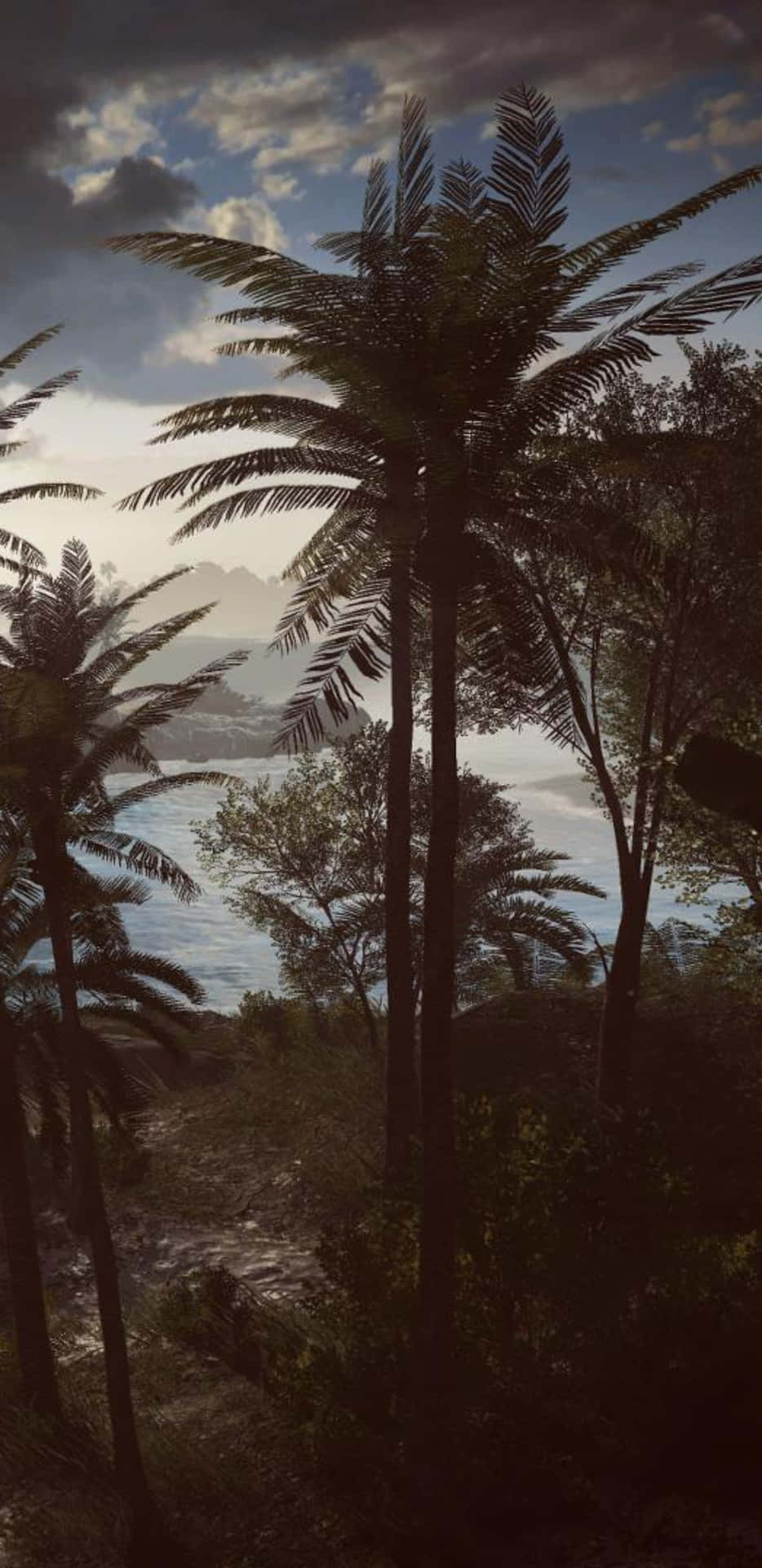 棕櫚樹剪影映襯著多雲的天空，俯瞰霧氣瀰漫的海洋和遠山。
