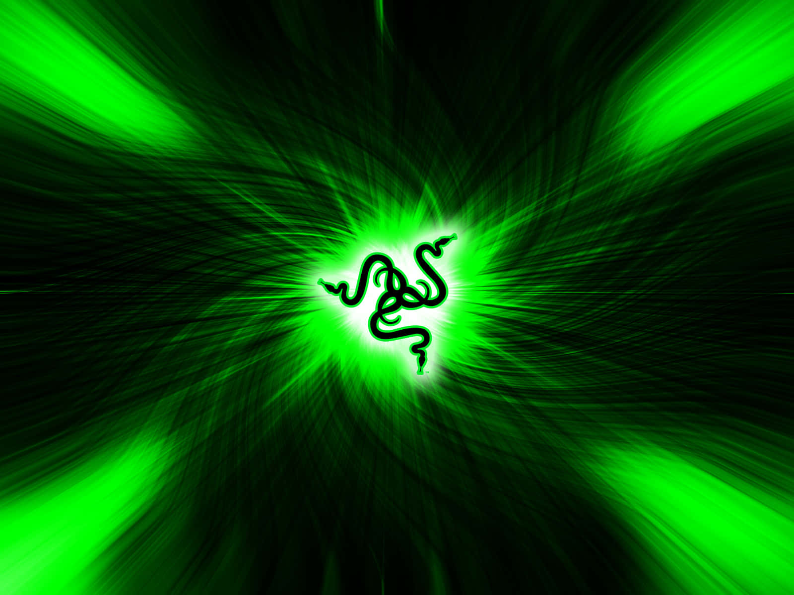 Razer圖片
