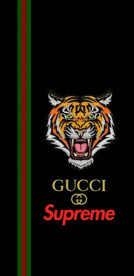 Gucci Supreme虎頭標誌，黑色背景，綠色和紅色條紋。