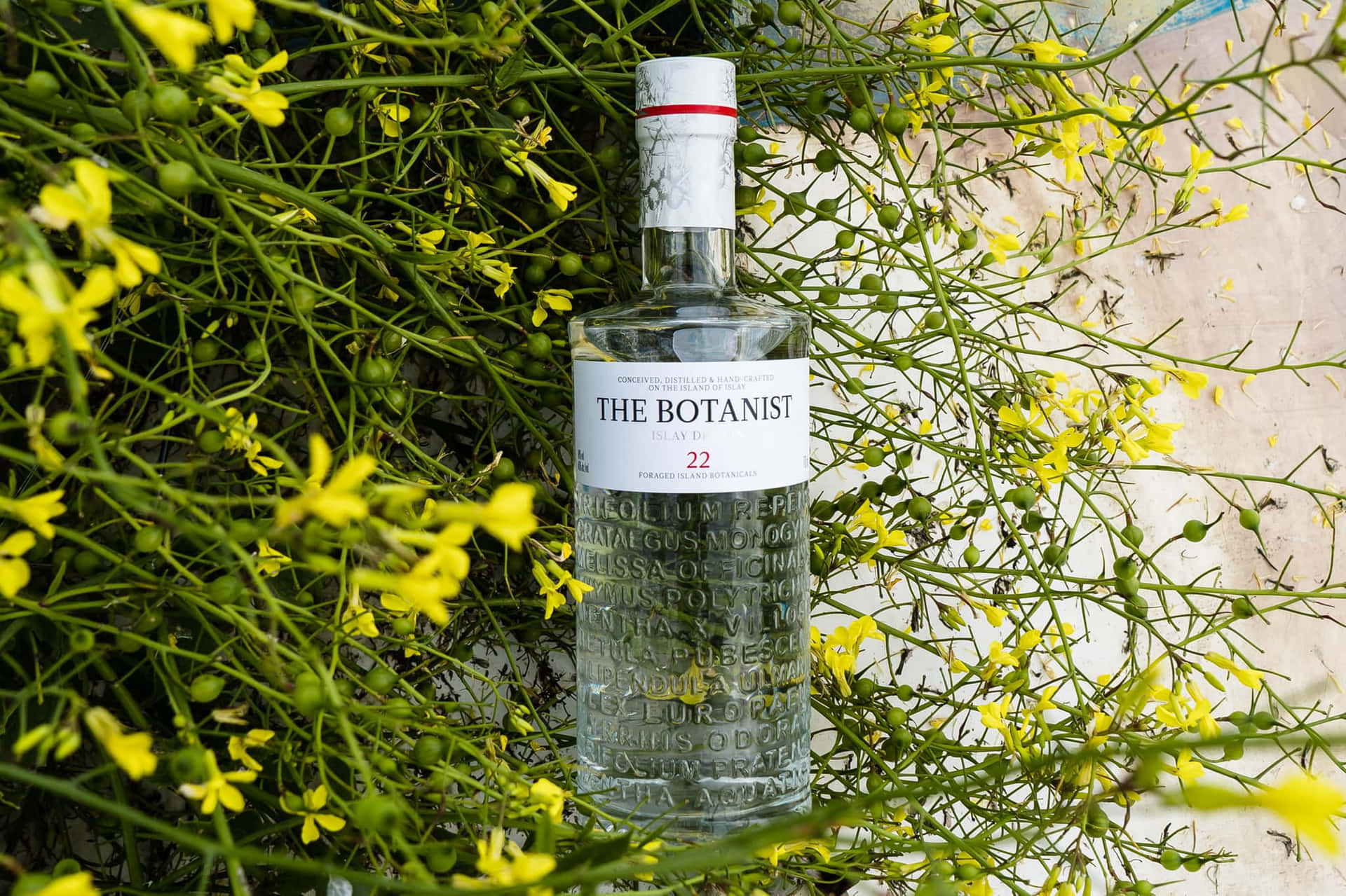 透明氈酒瓶 surrounded by yellow wildflowers and green stems.