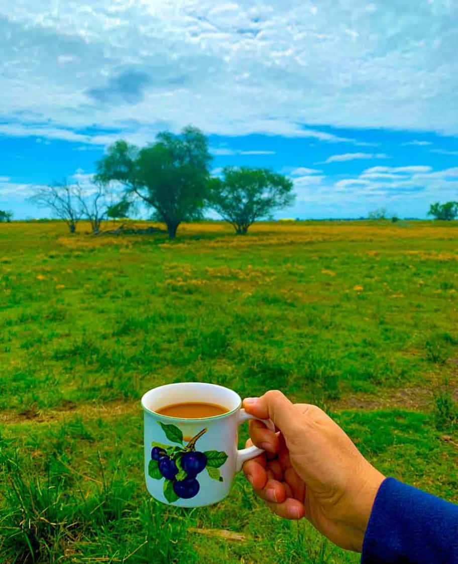 在藍天下，草地上手持一個梅花設計的茶杯。