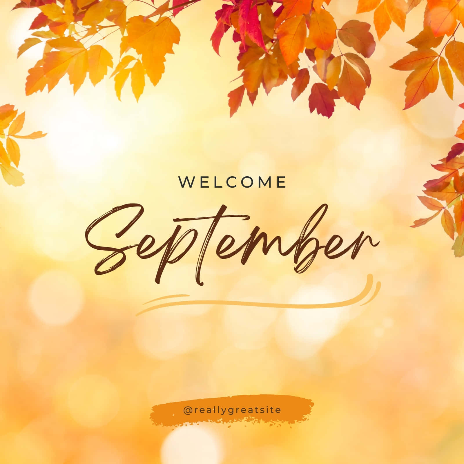 秋葉環繞溫暖背景，並有「Welcome September」文字。