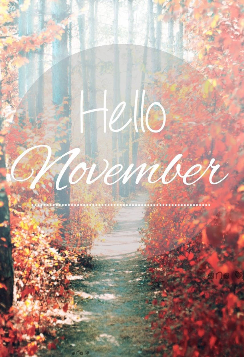 森林小徑兩旁是紅色和橙色秋葉，帶有「Hello November」文字疊加。