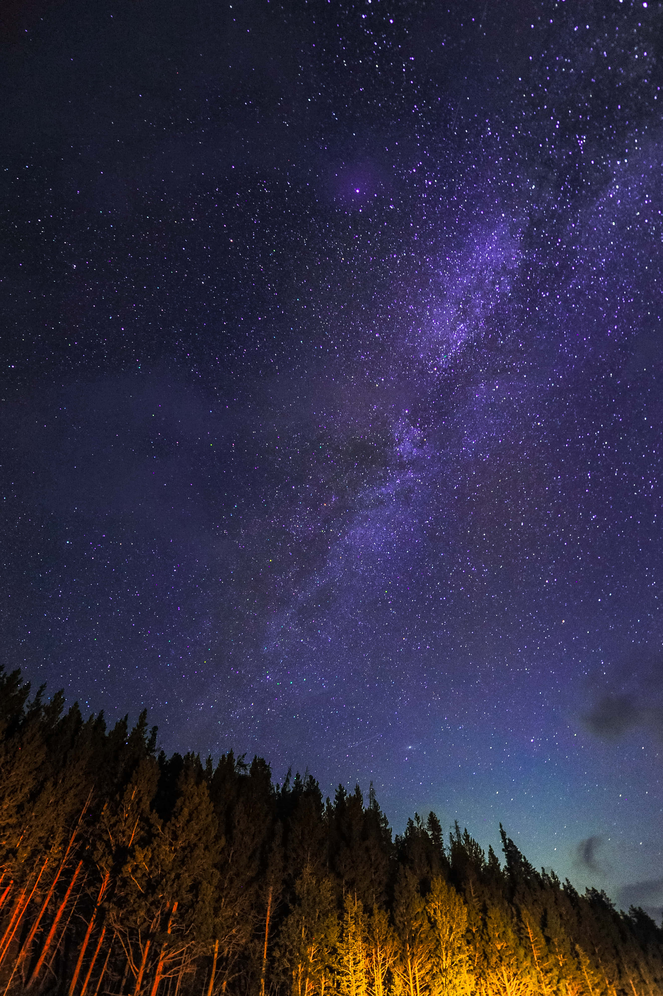 以圖形 iPhone 激發創意 壁紙 — 一個令人嘆為觀止的夜空，佈滿星星，一條充滿活力的紫色銀河在黑暗的森林剪影上方拱起，底部有溫暖發光的樹木。