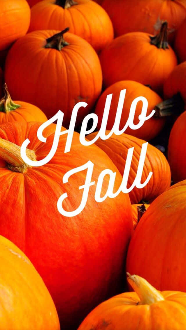 一堆南瓜，上面覆蓋著 Hello Fall 文字。