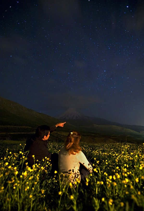 兩個人坐在黃色花田裡，指著山上的星星。