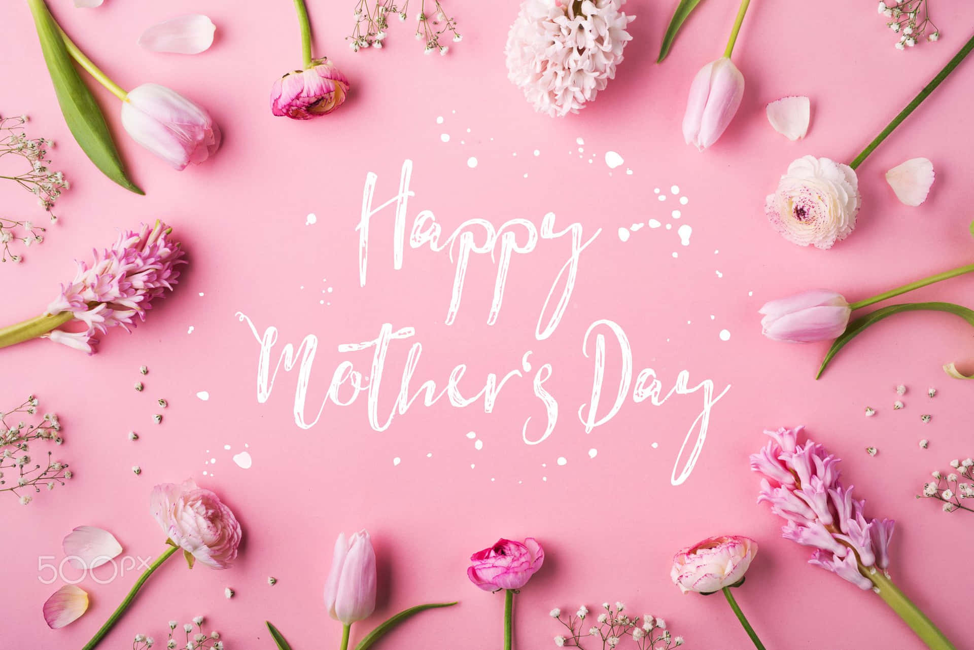 在粉紅背景上，被粉紅花朵和綠色莖幹環繞的Happy Mother's Day祝福。