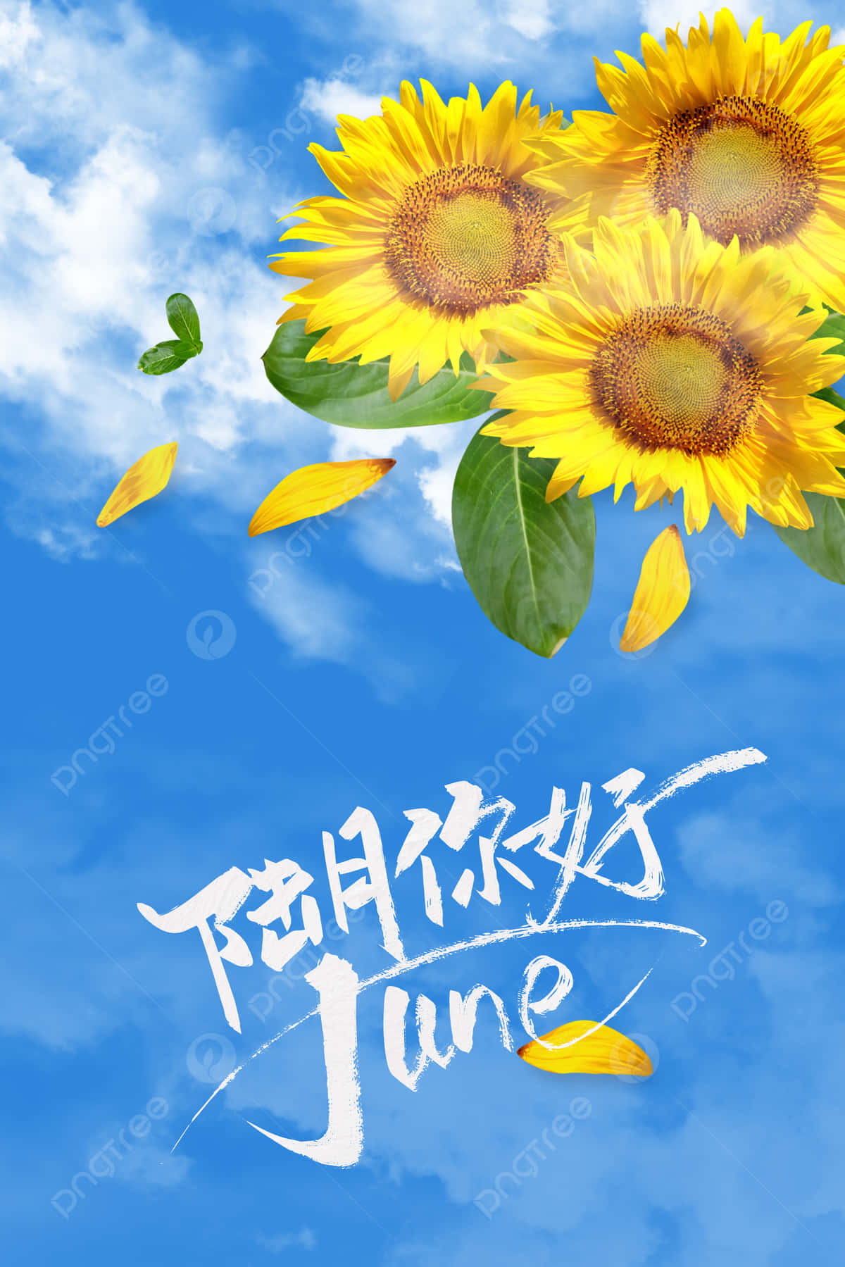 向日葵和花瓣在藍天中飄浮，帶有六月文字。