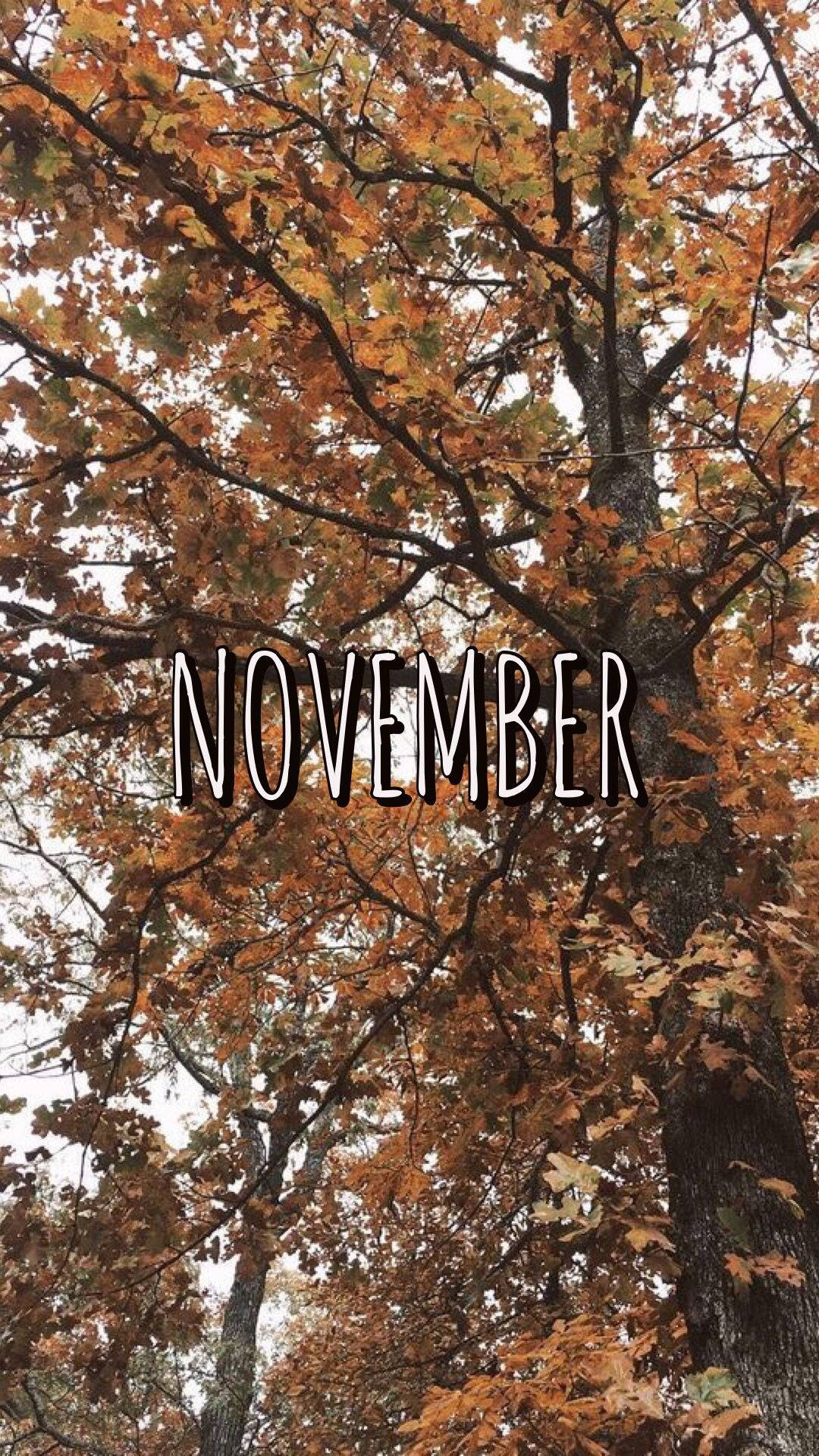 帶有橙色秋葉的樹，並覆蓋著 November 這個詞。