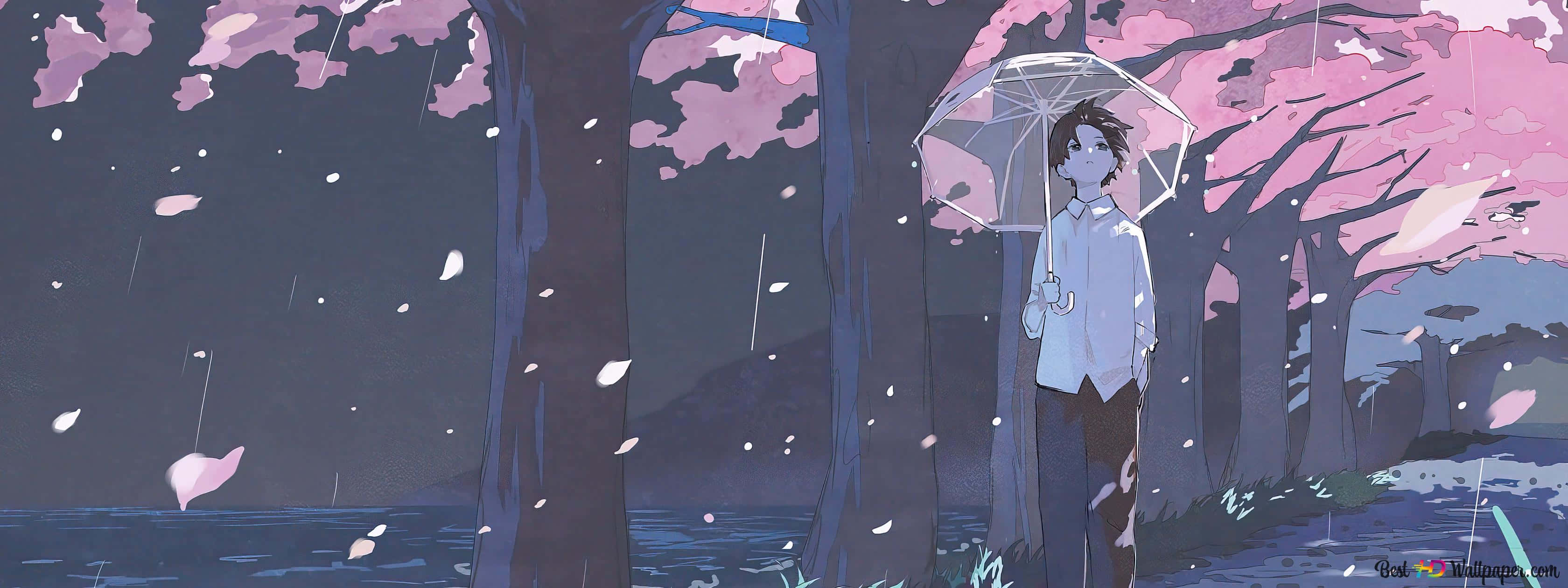 以日式動畫美學點燃每一天 壁紙 — 一個孤獨的身影在雨中的暮色森林裏，在飄落的櫻花下撐著傘。