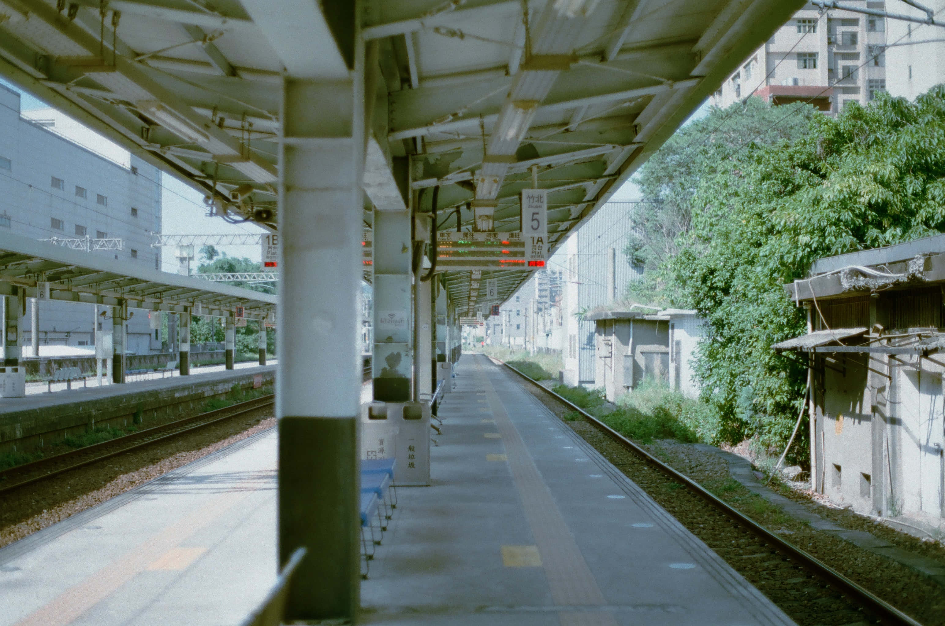 以日本白雅致打造寧靜空間 壁紙 — 一個寧靜的火車站月台，沐浴在柔和日光中，軌道旁綠樹成蔭，上方結構投下溫柔的陰影。