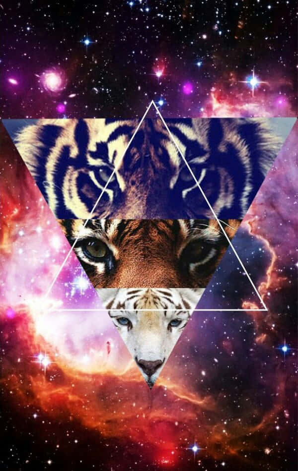 三個虎臉以三角形排列在色彩繽紛的宇宙背景前。