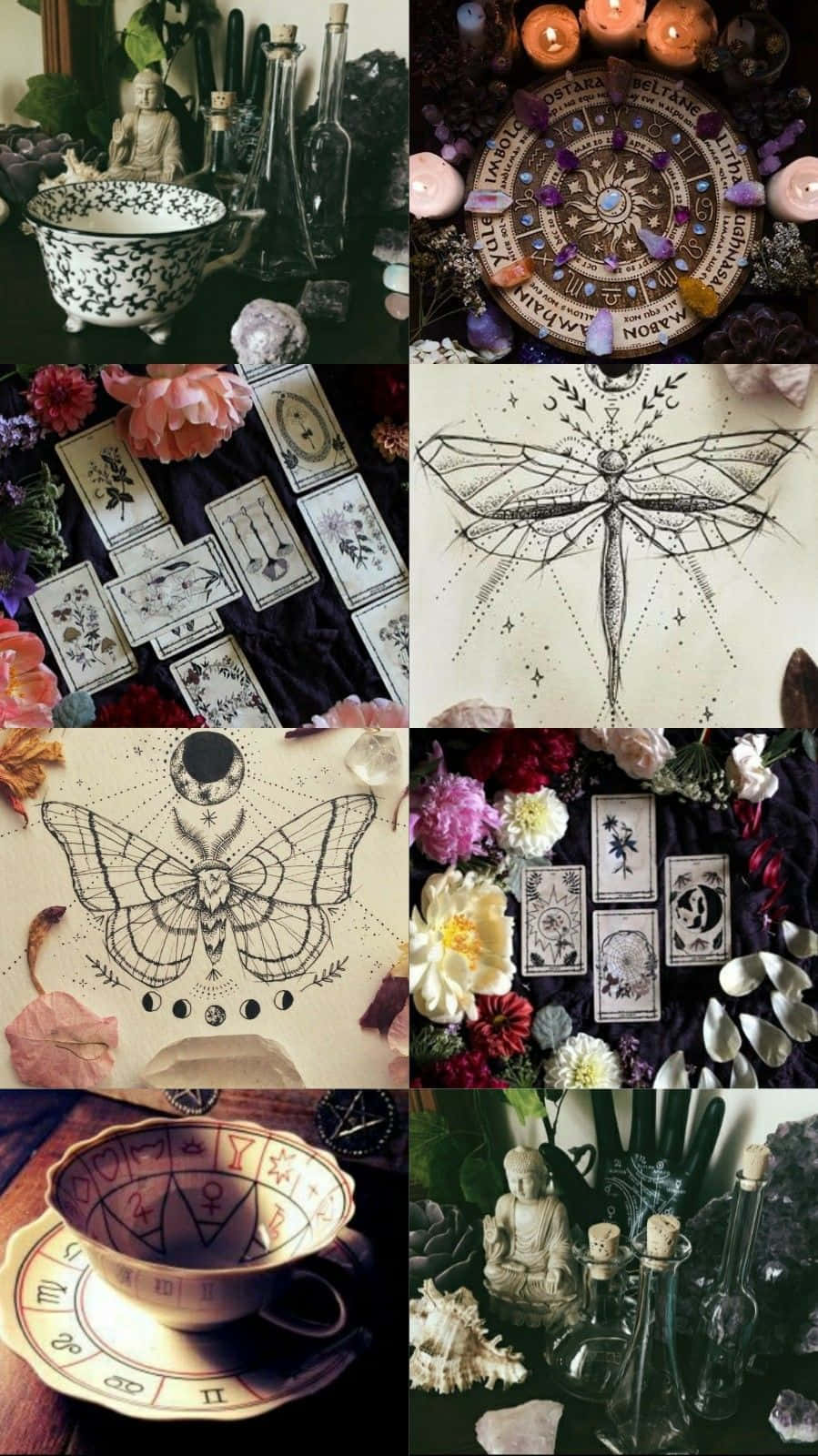 Witch Aesthetic 桌布 壁紙 — 以暗黑陰鬱色調呈現的神秘拼貼畫，包含塔羅牌、水晶、蠟燭和精細的昆蟲插圖。