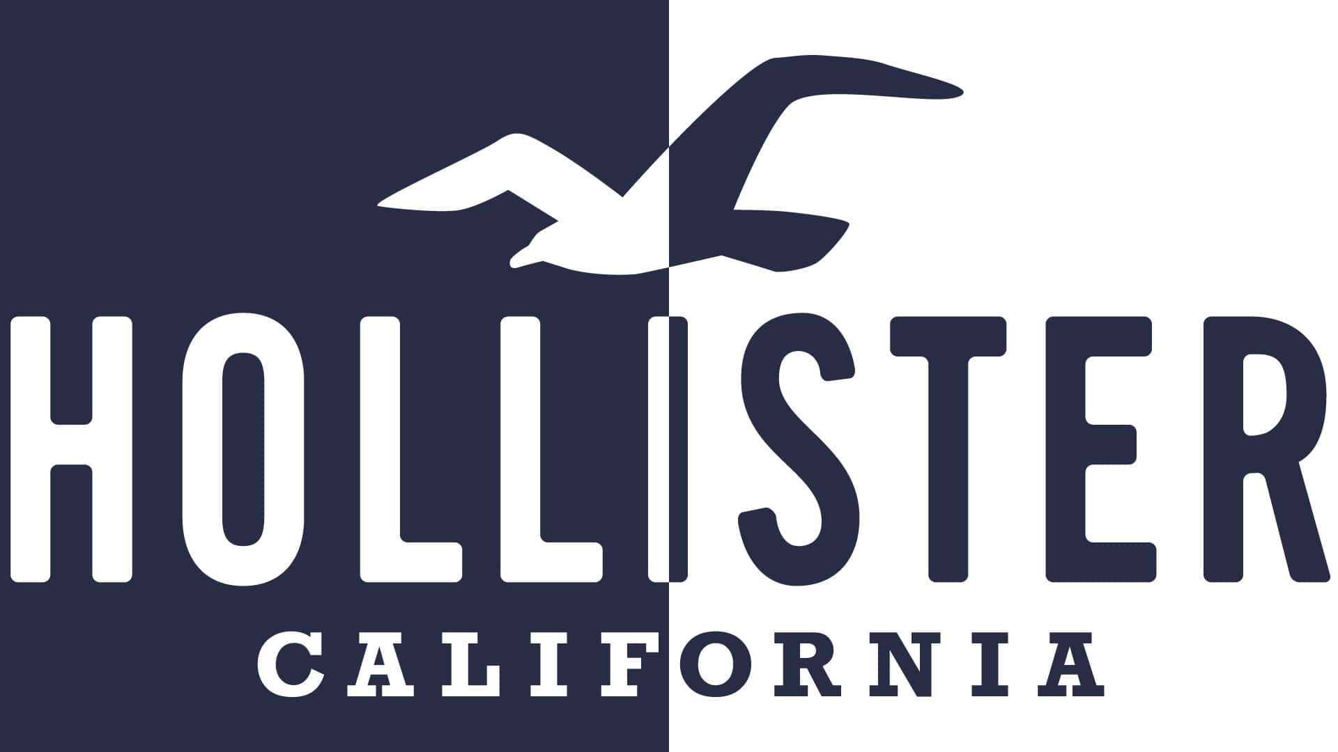 Hollister California 標誌，海鷗飛翔於海軍藍和白色分割背景之上。