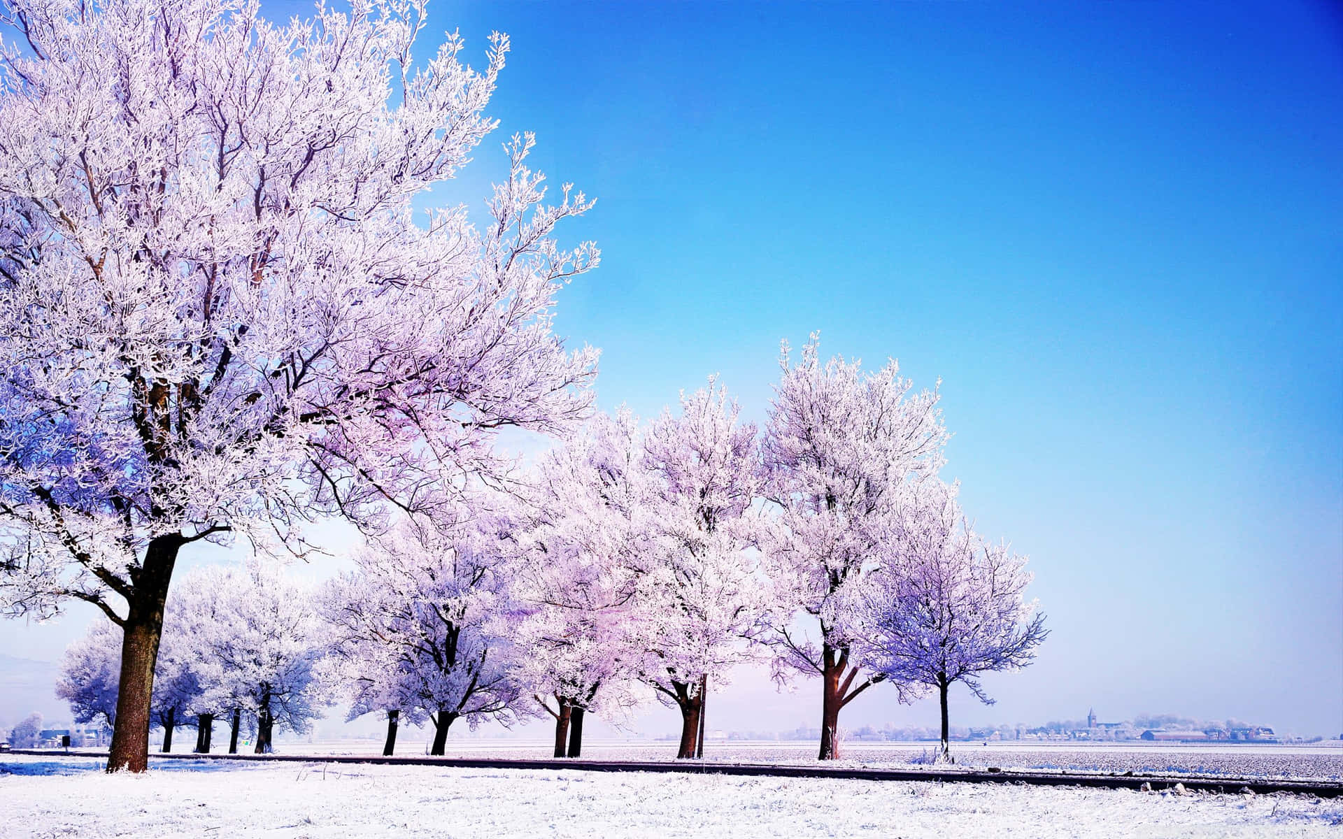 晴朗藍色冬日天空下，雪地中的霜凍樹木。
