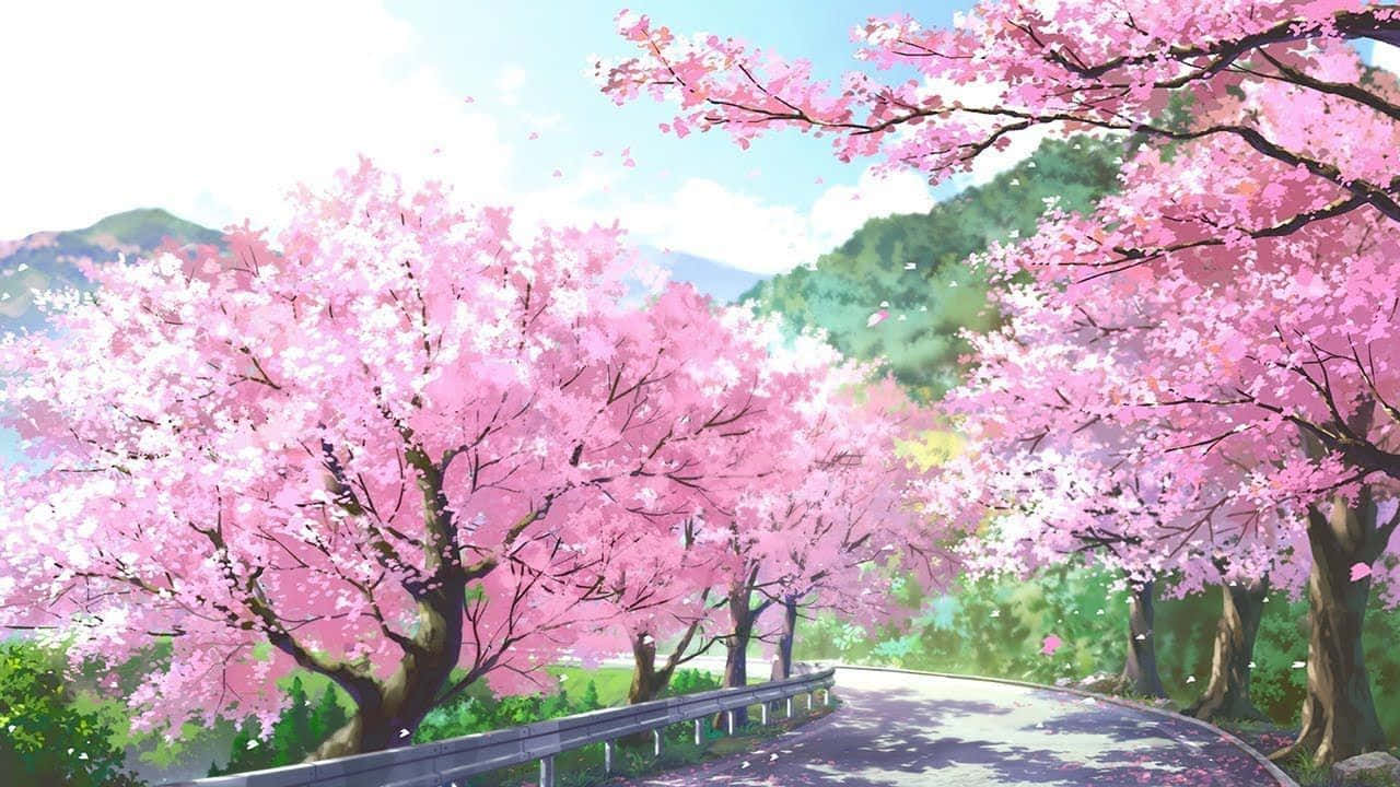 以櫻花PC慶祝科技時代的美 壁紙 — 一條蜿蜒的道路在充滿活力的粉紅色櫻花樹冠下彎曲，背景是山脈。