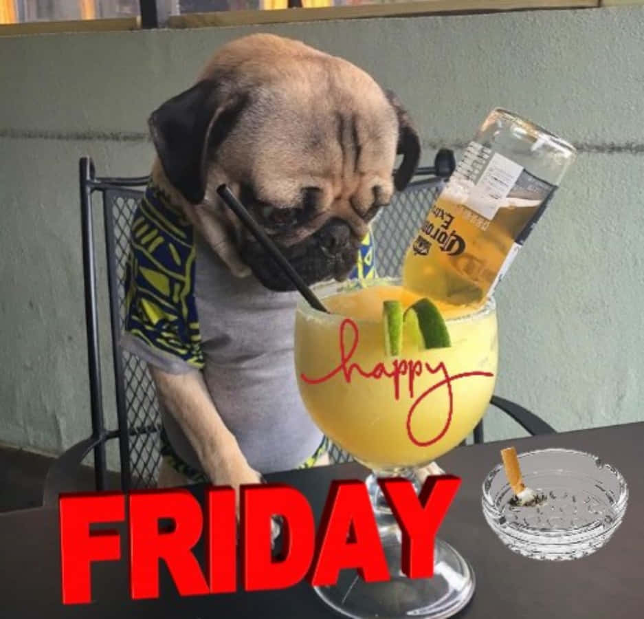 以歡笑開啟週末！ 壁紙 — 一隻穿著襯衫的哈巴狗正在啜飲一杯以啤酒瓶裝飾的瑪格麗特，而「happy FRIDAY」文字佔據了前景。